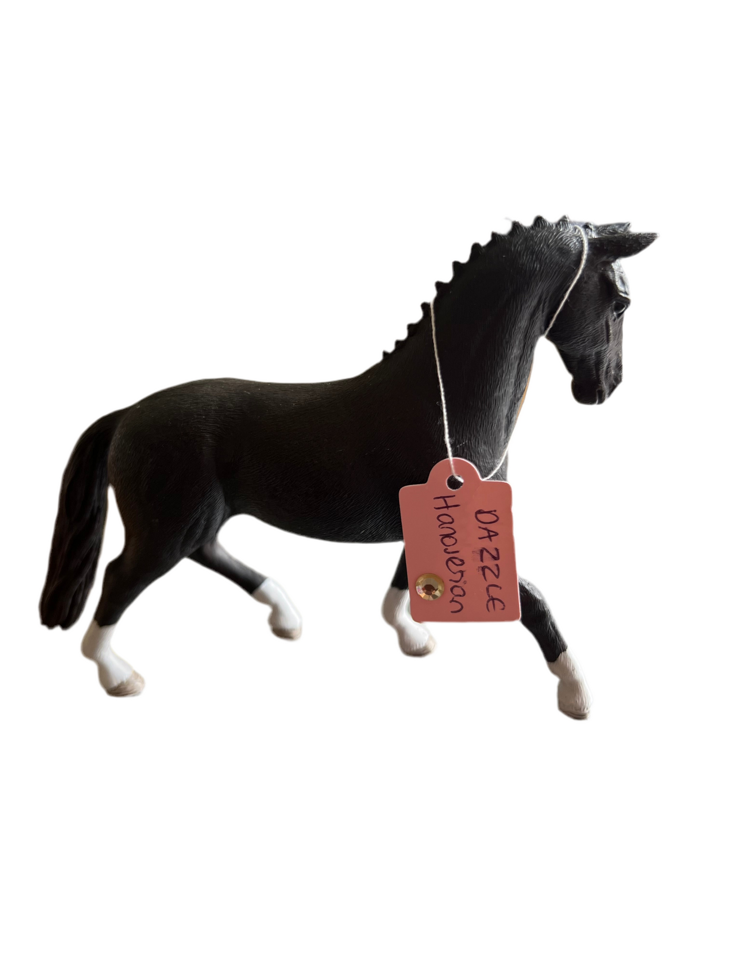 ✨ Re-Loved Rockstar Hanoverian – Dazzle ✨