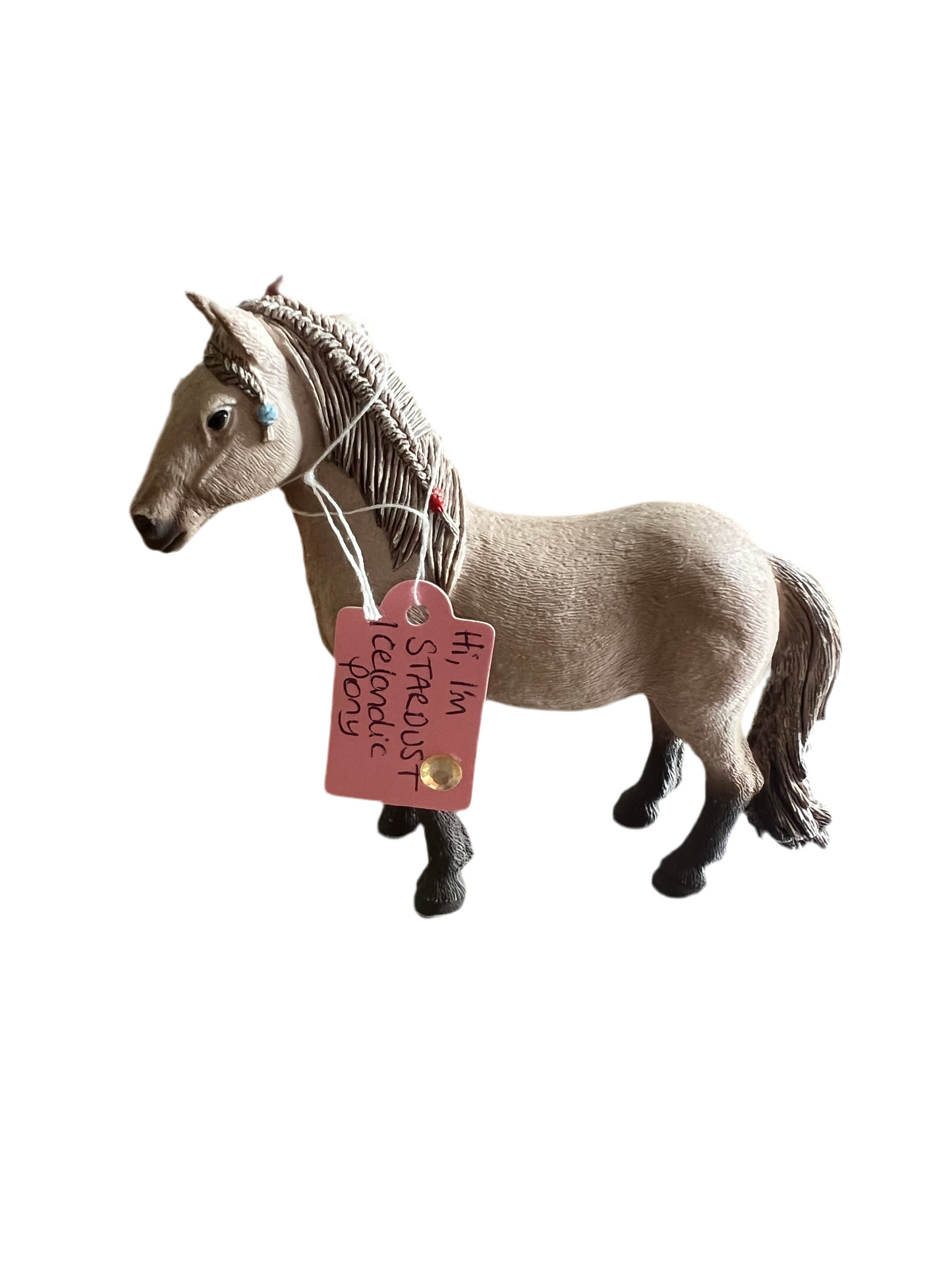 ✨ Re-Loved Rockstar Icelandic Pony – Stardust ✨