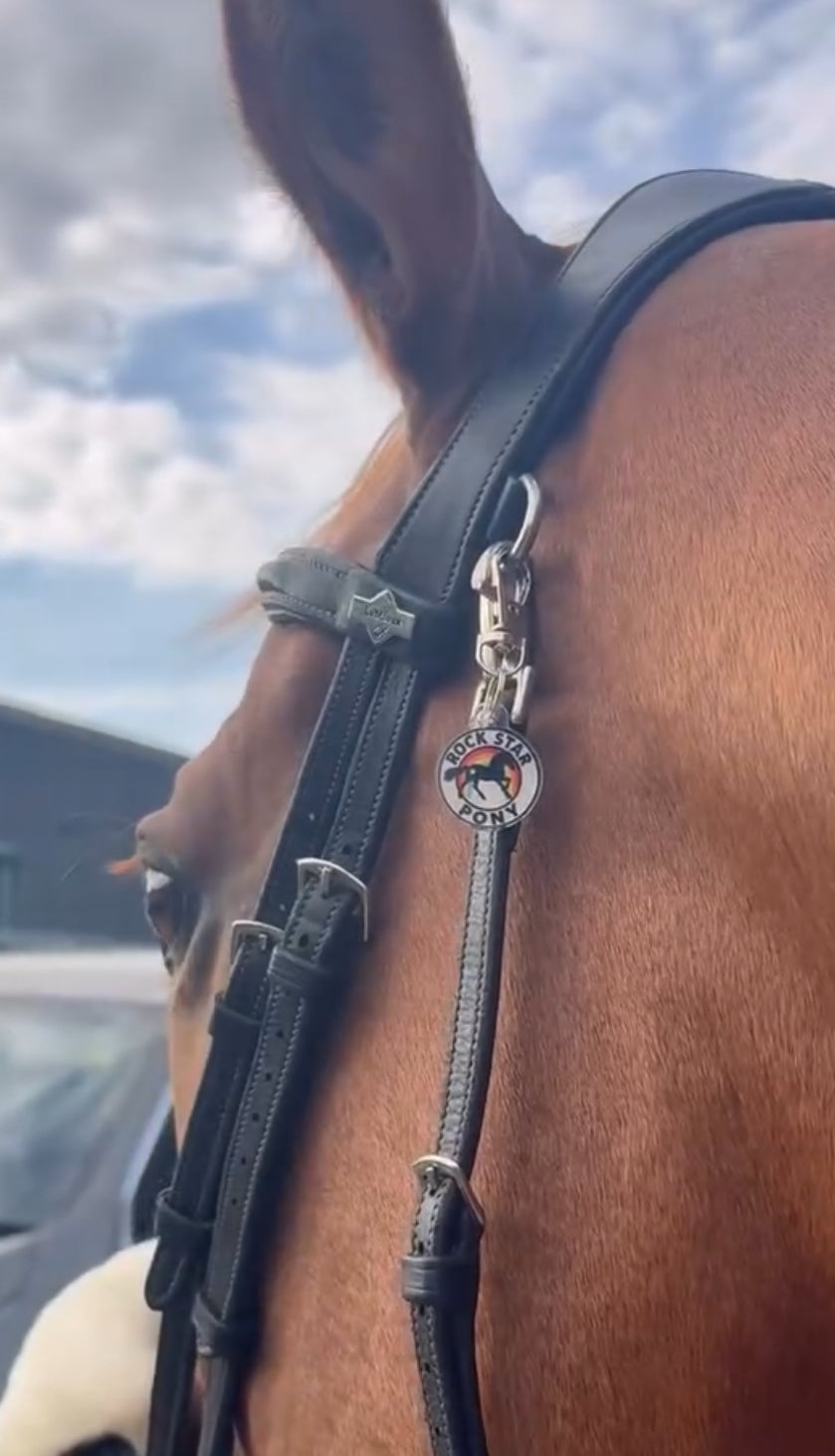 Rebel Rider Charm Set
