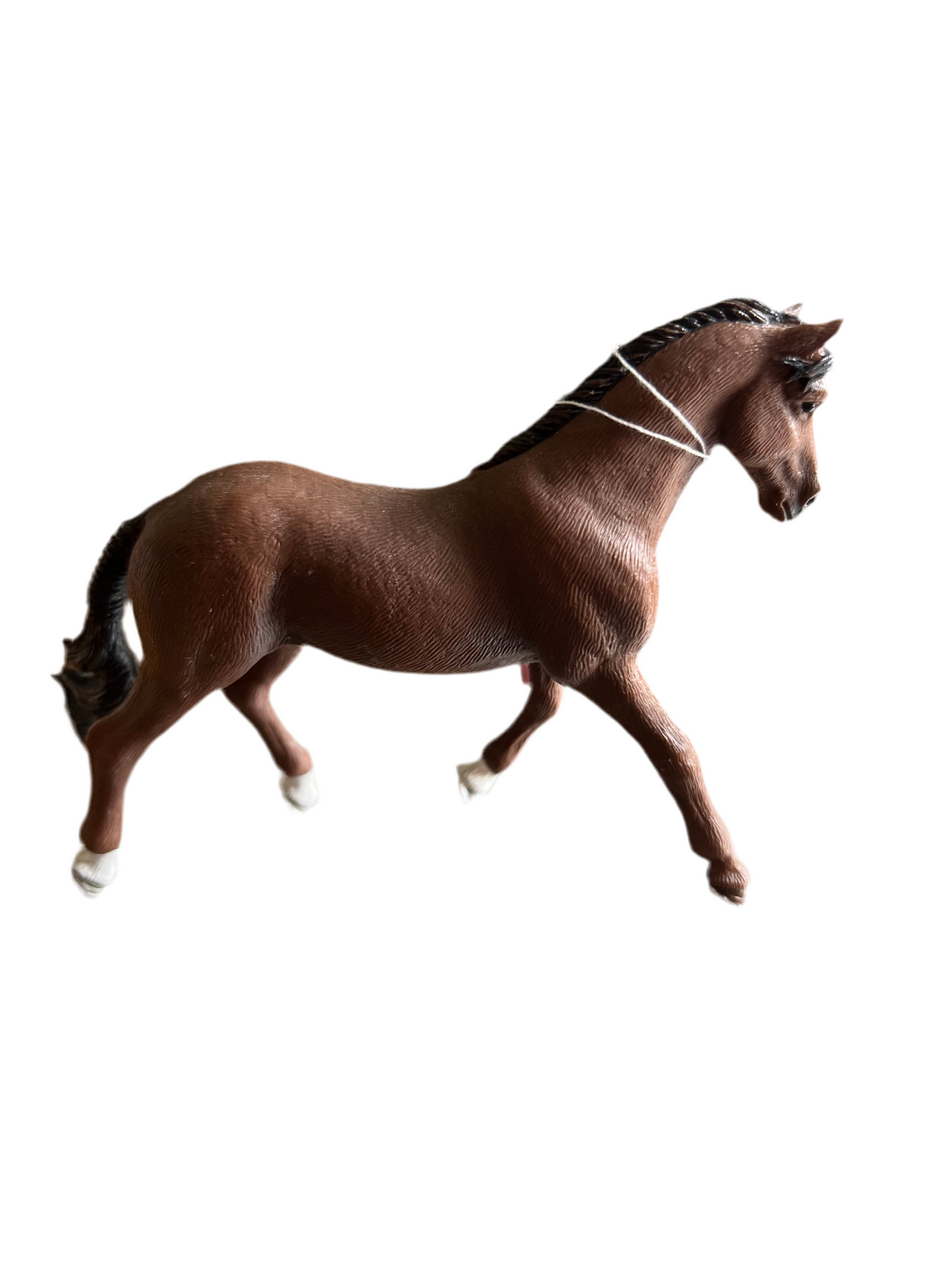β¨ Re-Loved Rockstar Trakehner β Slash β¨
