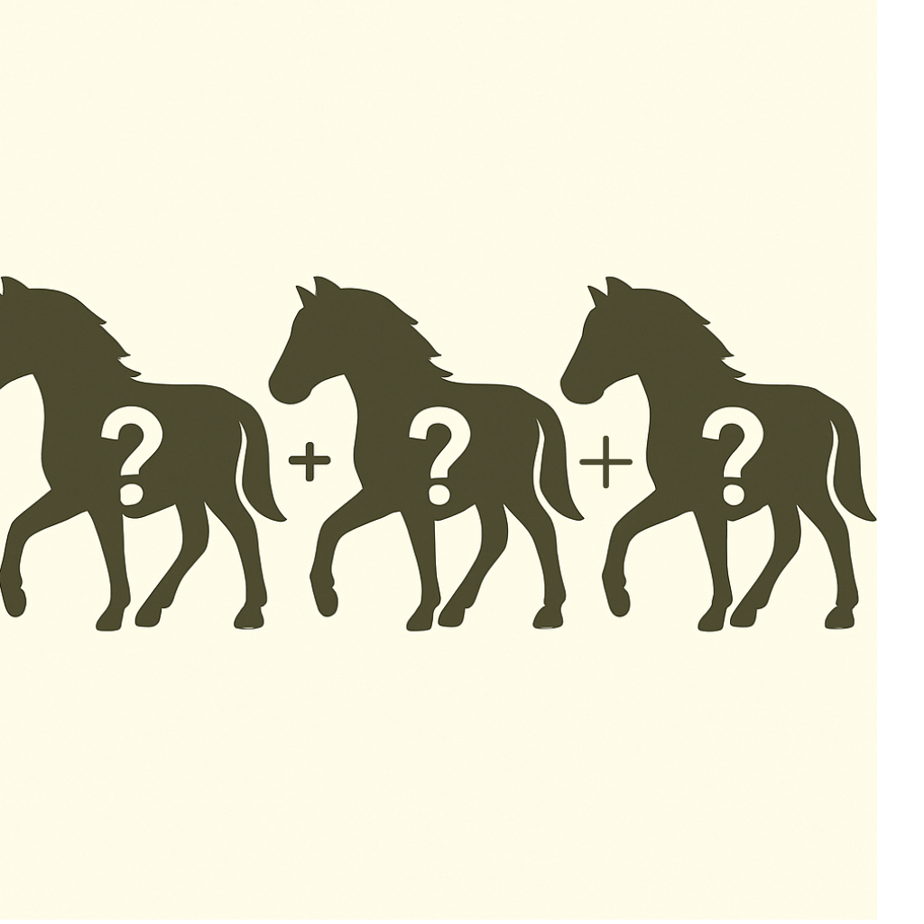 π Re-Loved Rockstar Mystery Pony β Lucky Dip! π