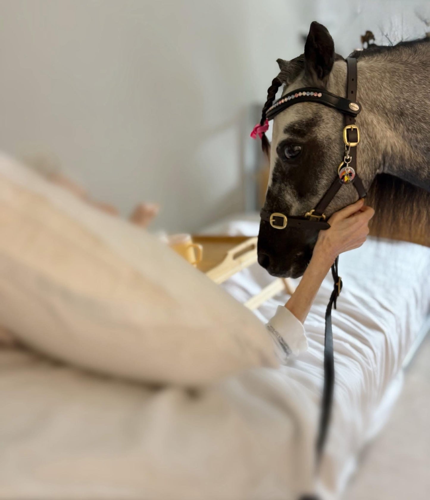 š“ Mini Rockstar Bridle Charm ā For Shetlands & Minis Only!