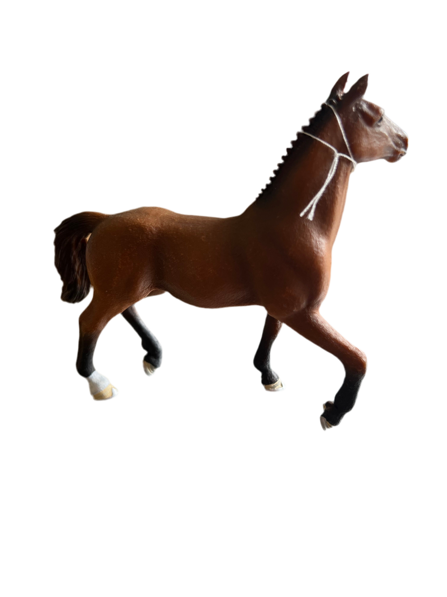 ✨ Re-Loved Rockstar Oldenburg Mare – Aurora ✨
