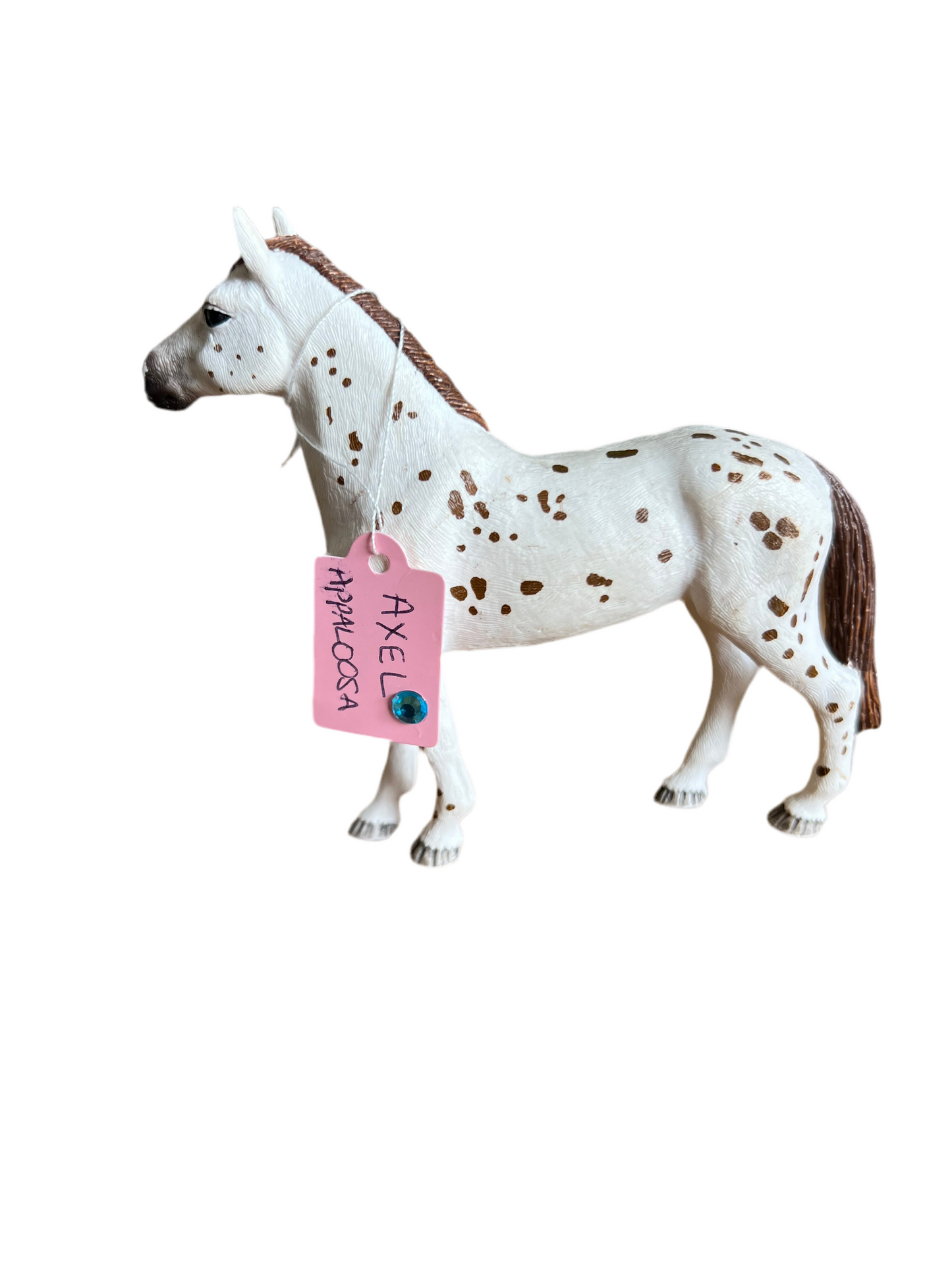 ✨ Re-Loved Rockstar Appaloosa – Axel ✨