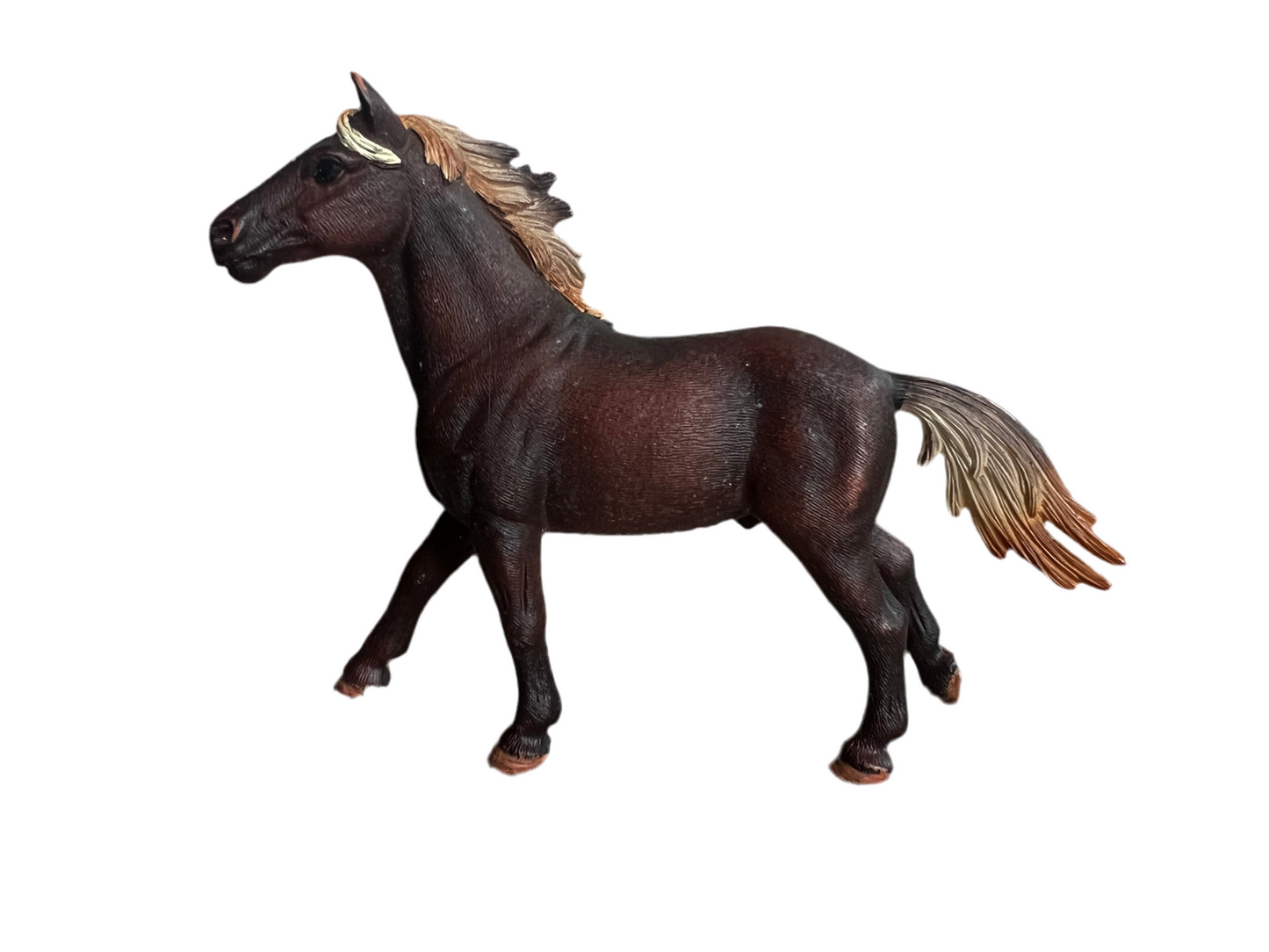 ✨Re-Loved Rockstar Mustang Stallion – Rusty✨