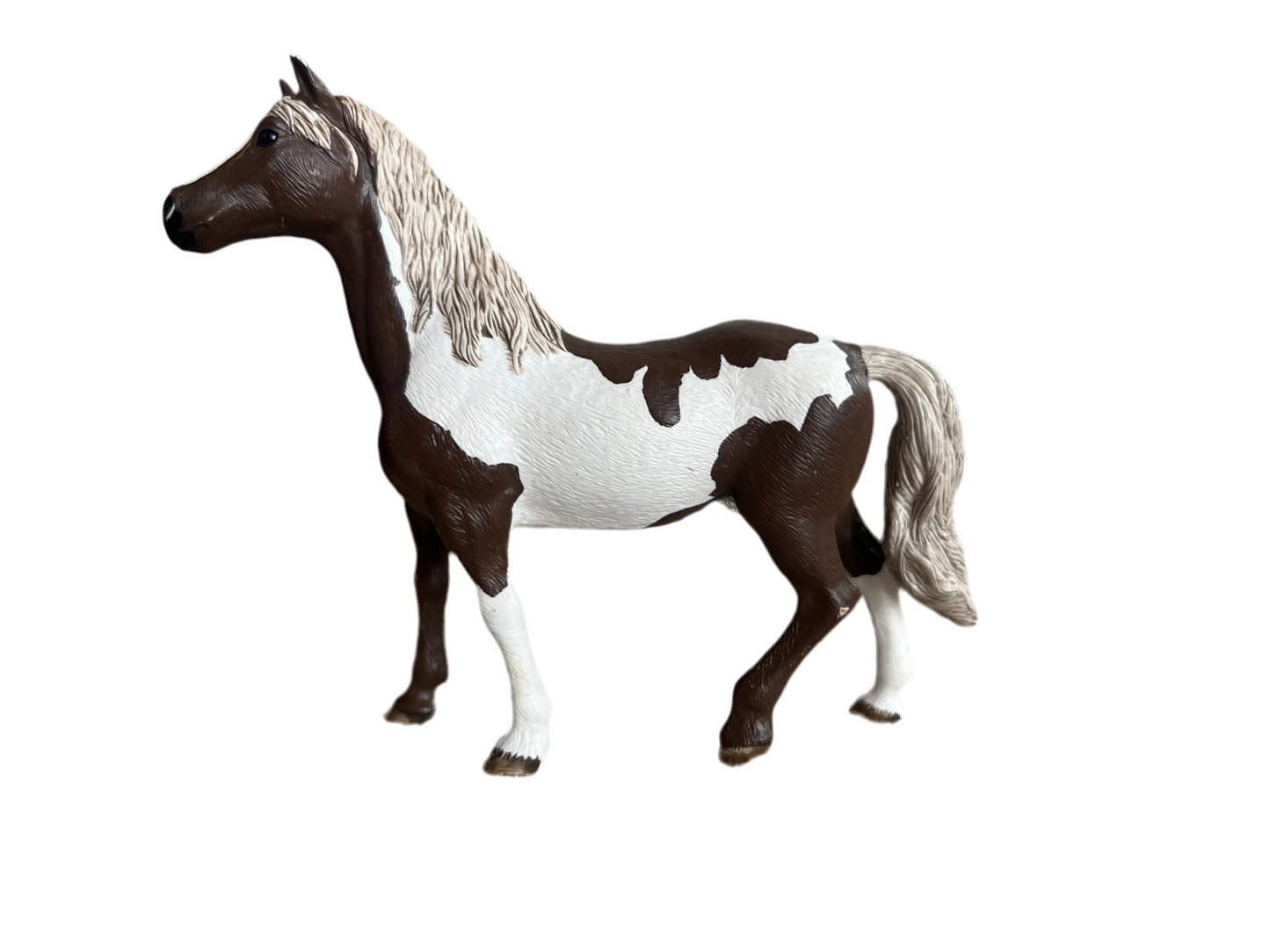 ✨Re-Loved Rockstar Paint Gelding – Cody✨