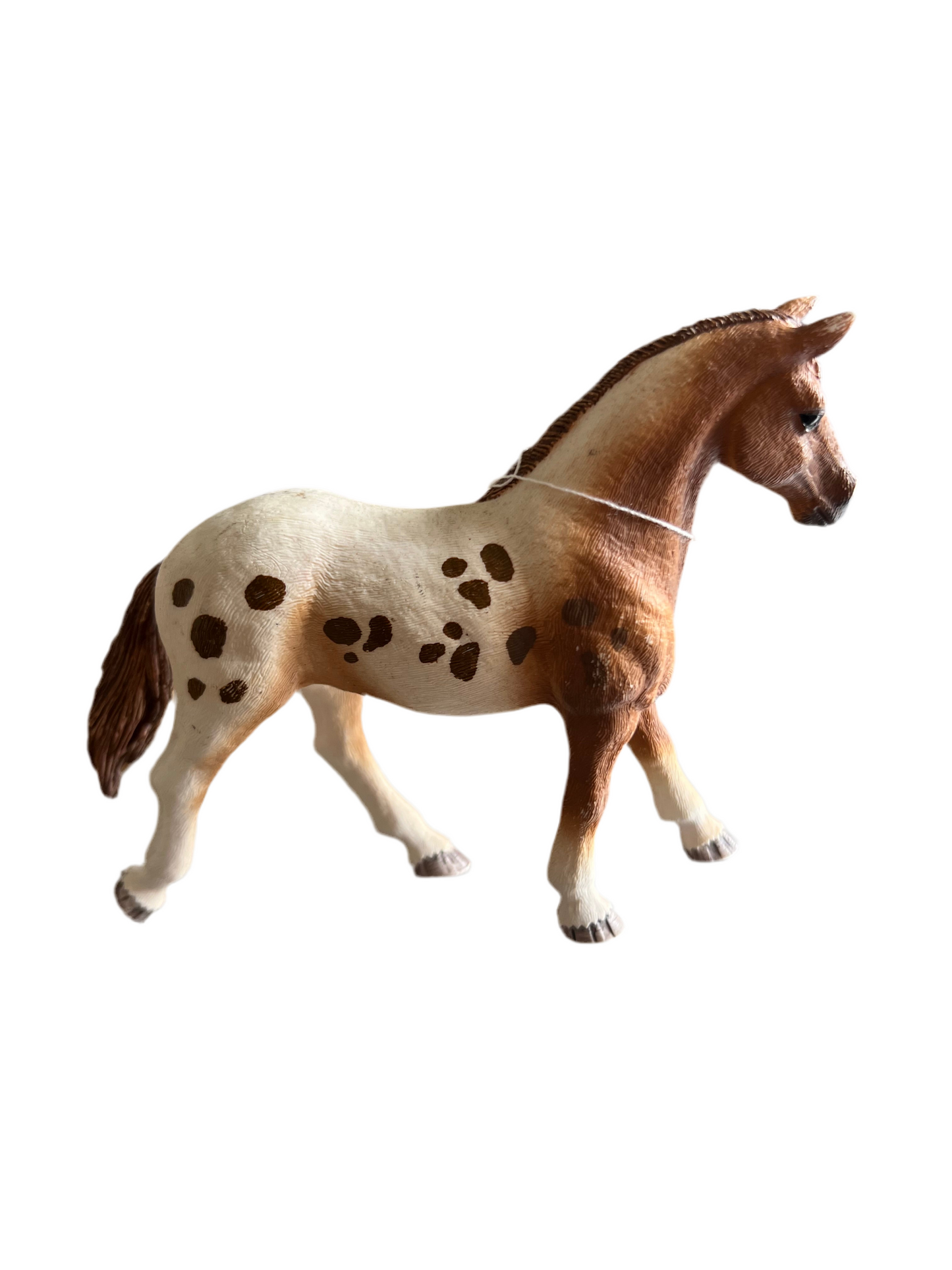 ✨ Re-Loved Rockstar Appaloosa Mare – Vixen ✨