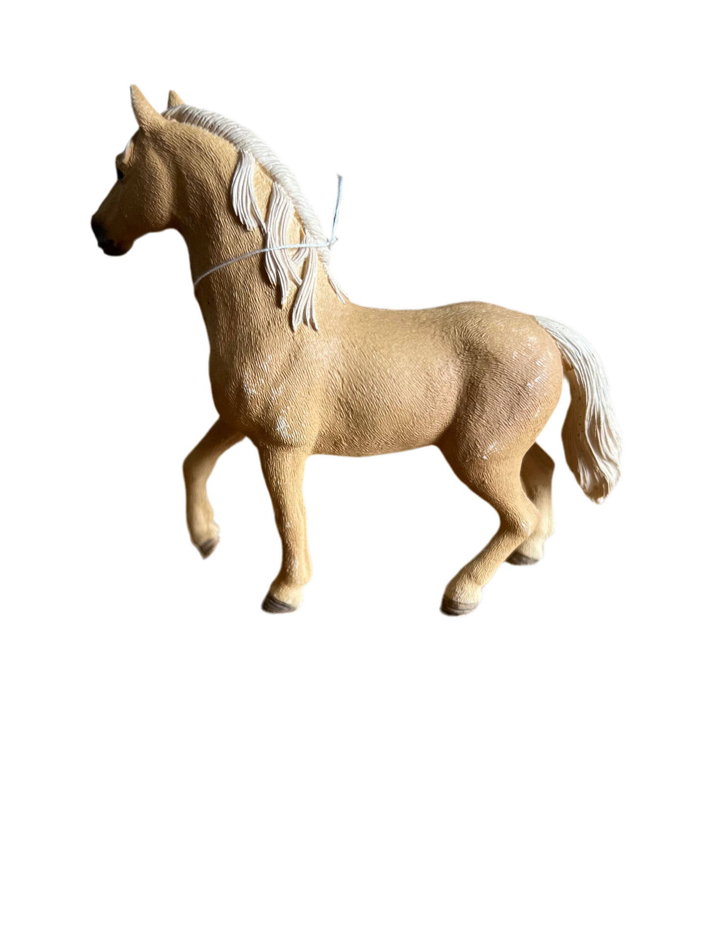 ✨ Re-Loved Rockstar Andalusian – Amigo ✨