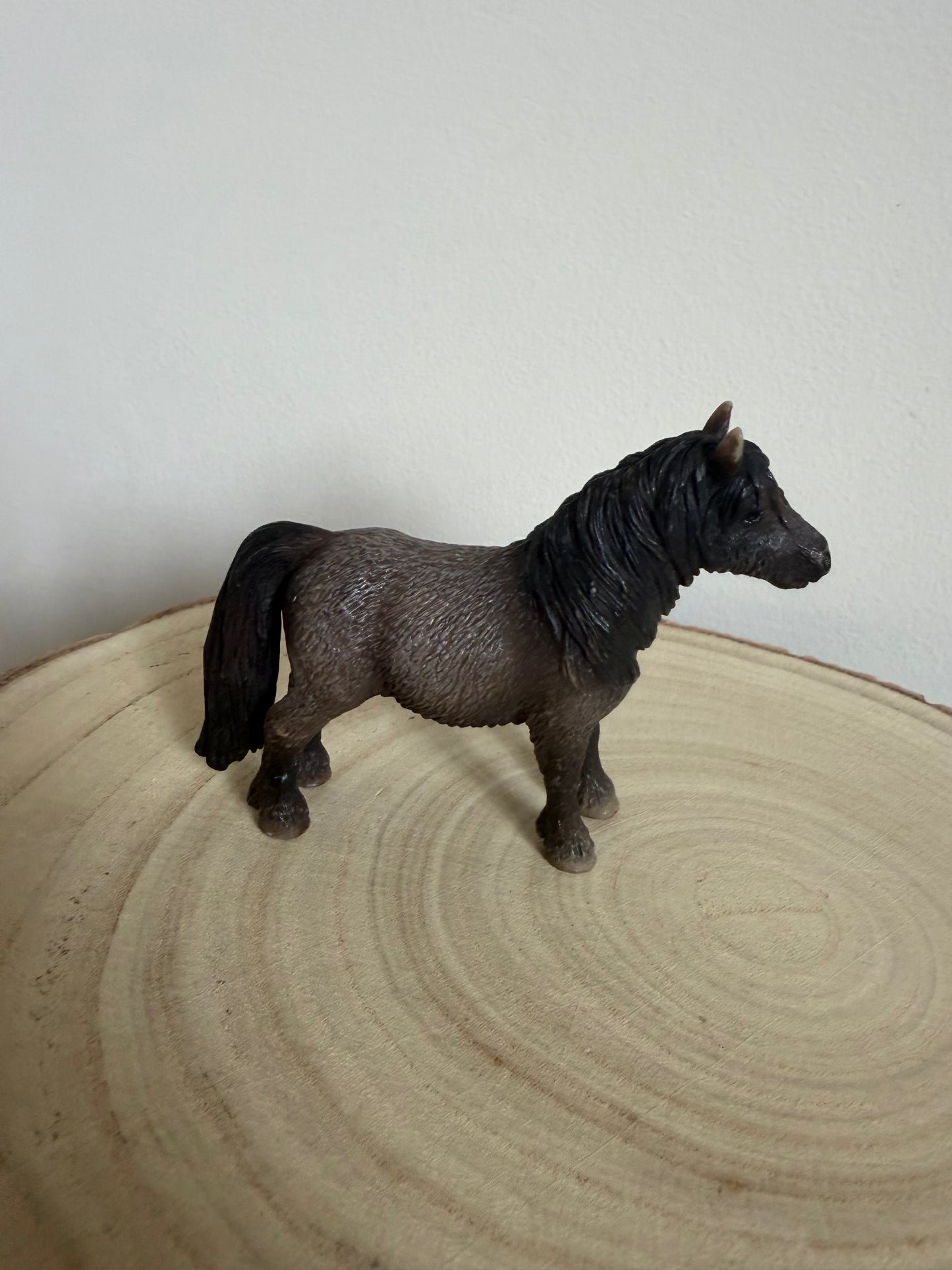 ✨Re-Loved Rockstar Shetland Pony Stallion- Roco