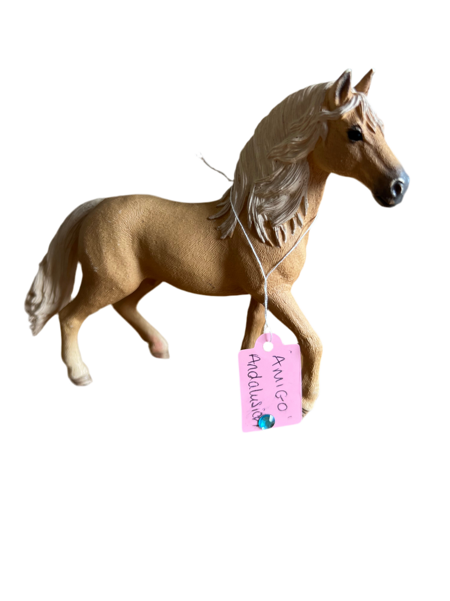 ✨ Re-Loved Rockstar Andalusian – Amigo ✨