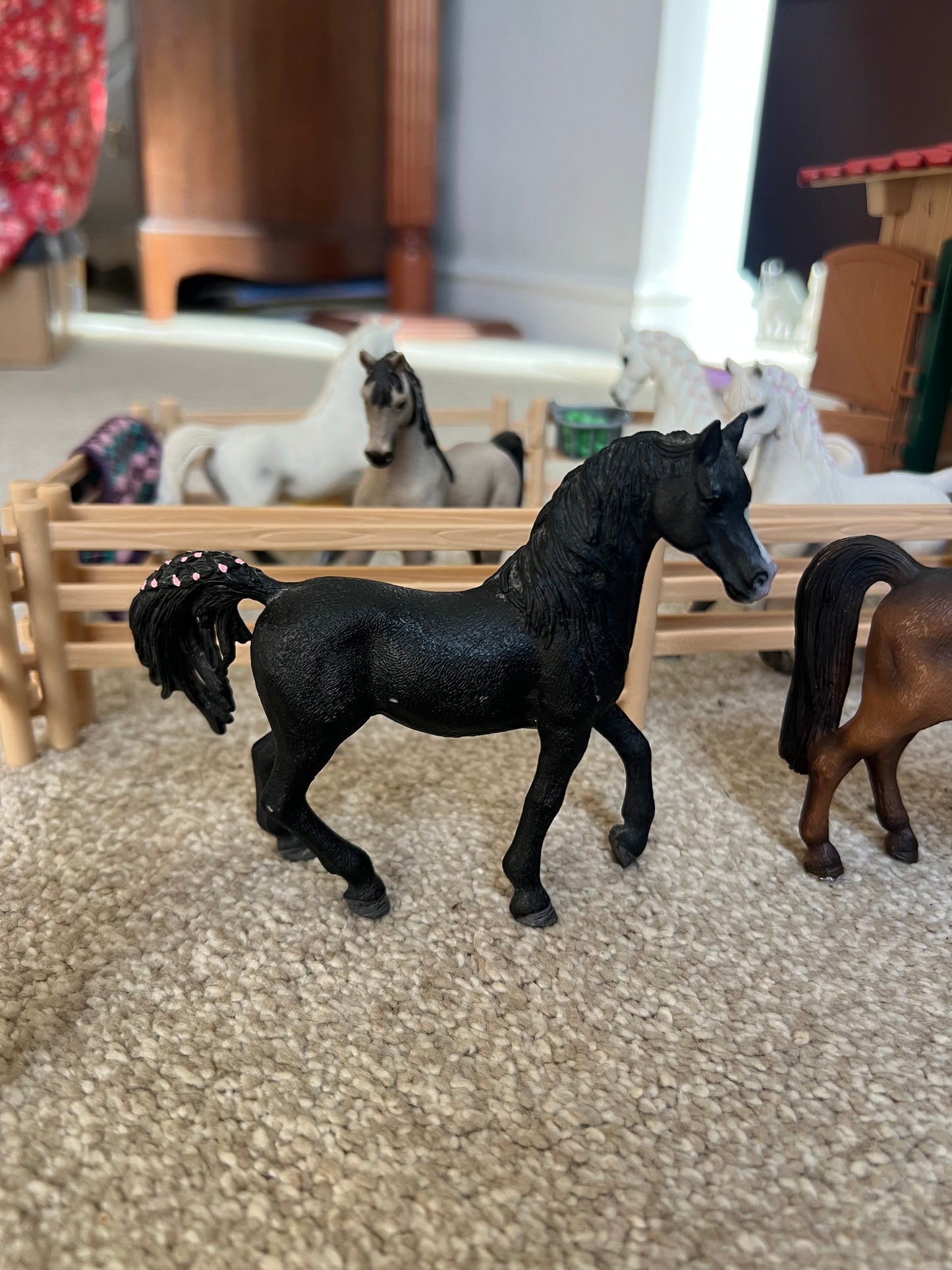 ✨Re-Loved Rockstar Arabian Stallion – Enigma✨