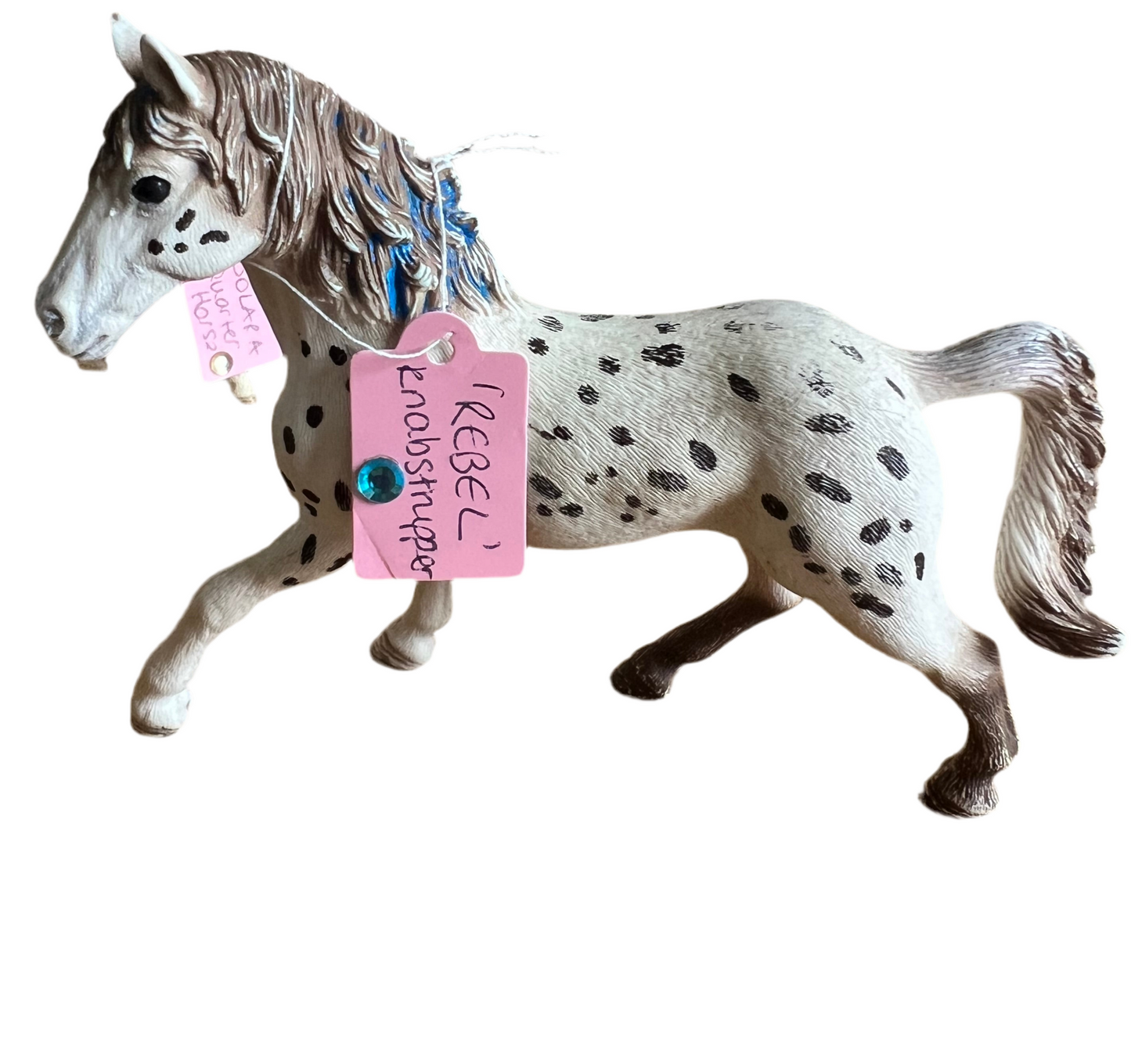 ✨ Re-Loved Rockstar Knabstrupper – Rebel ✨