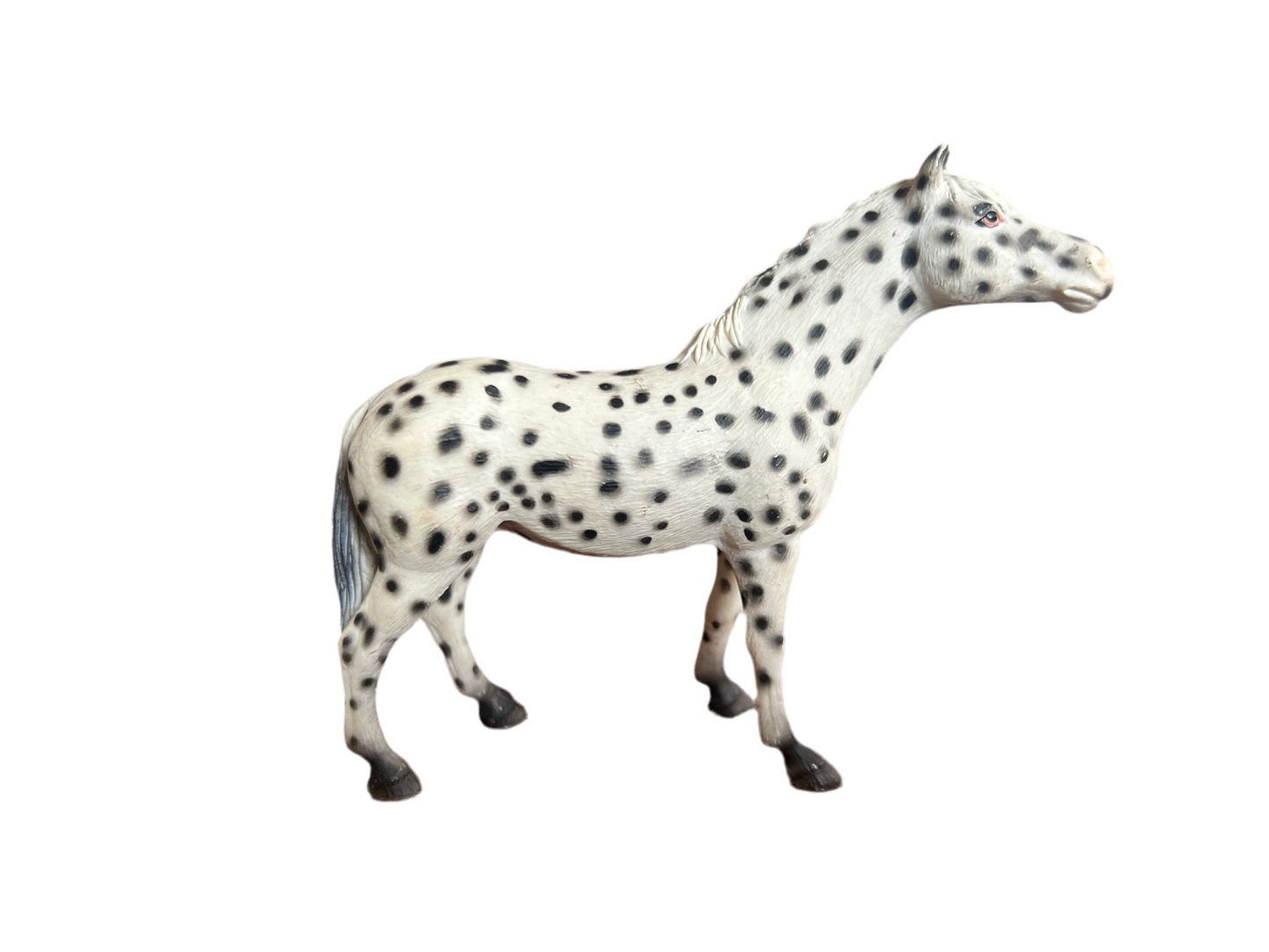 ✨Re-Loved Rockstar Knabstrupper Mare– Glitter✨