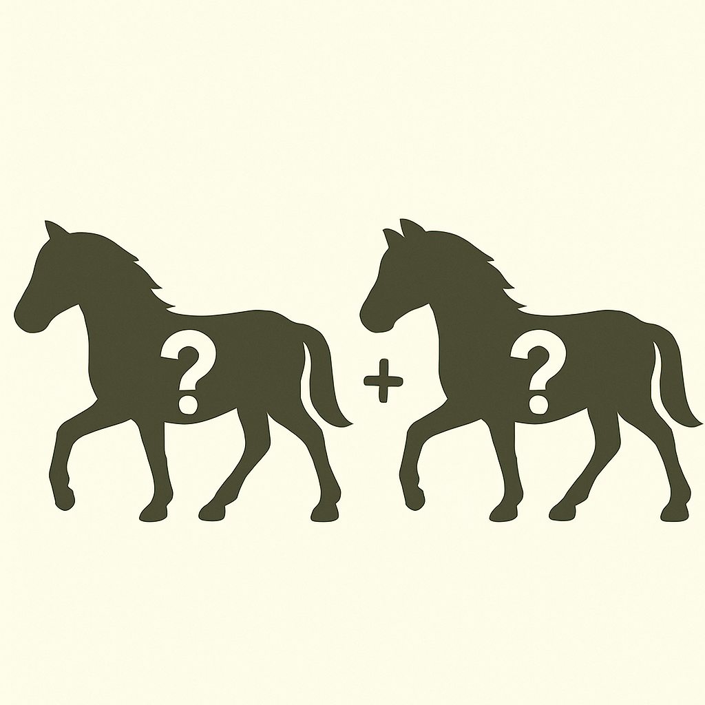 π Re-Loved Rockstar Mystery Pony β Lucky Dip! π