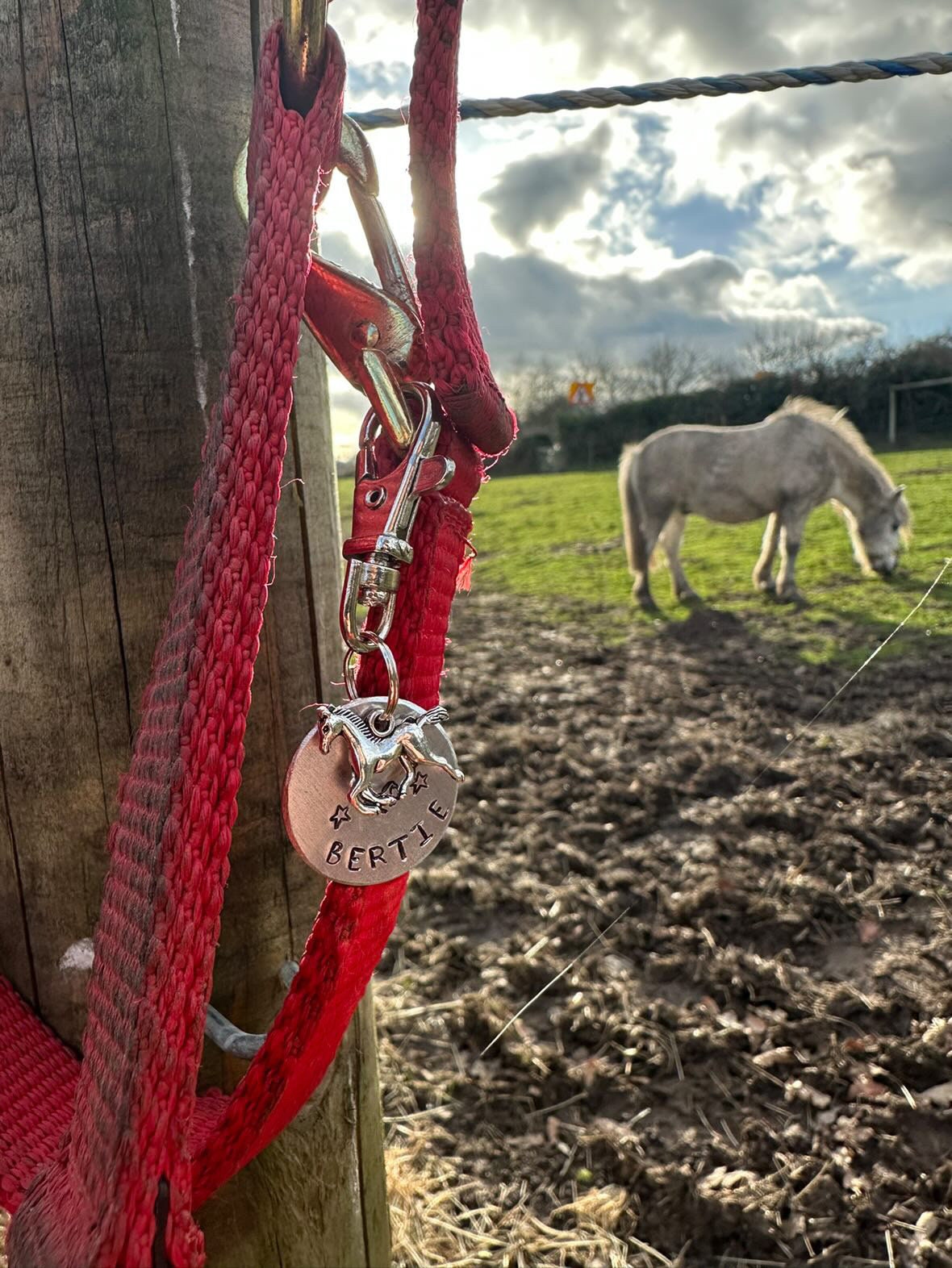 ‘Mane Character’ Bridle Charm. Hand stamped.