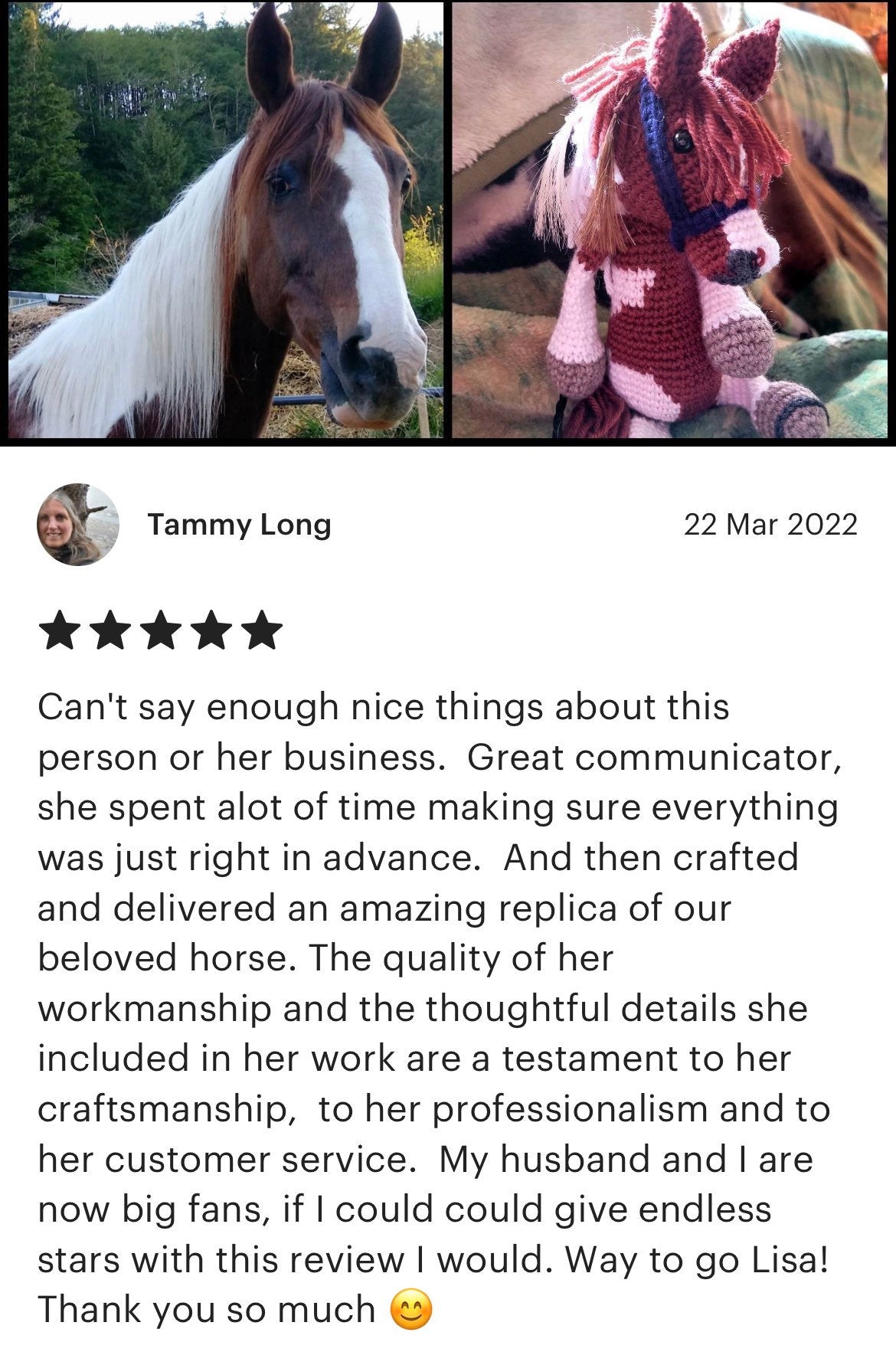 Crochet Horse & Pony - Personalised Horse, Horse Gifts, Pet Loss, memorial, Unique keepsake. Custom Horse Plush.