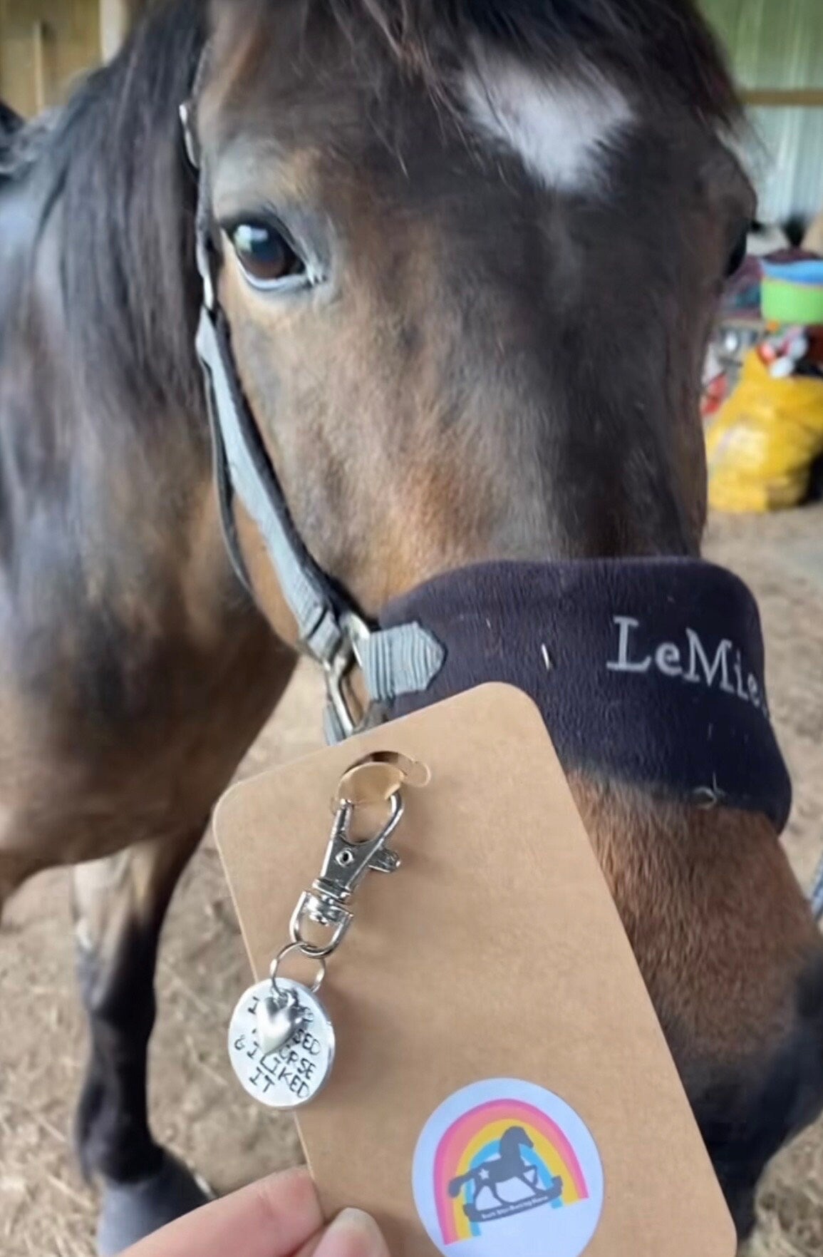 Dressage Diva / Bridle/ halter/ Saddle charm. Personalised horse name tag. Hand stamped. Horse lover gift