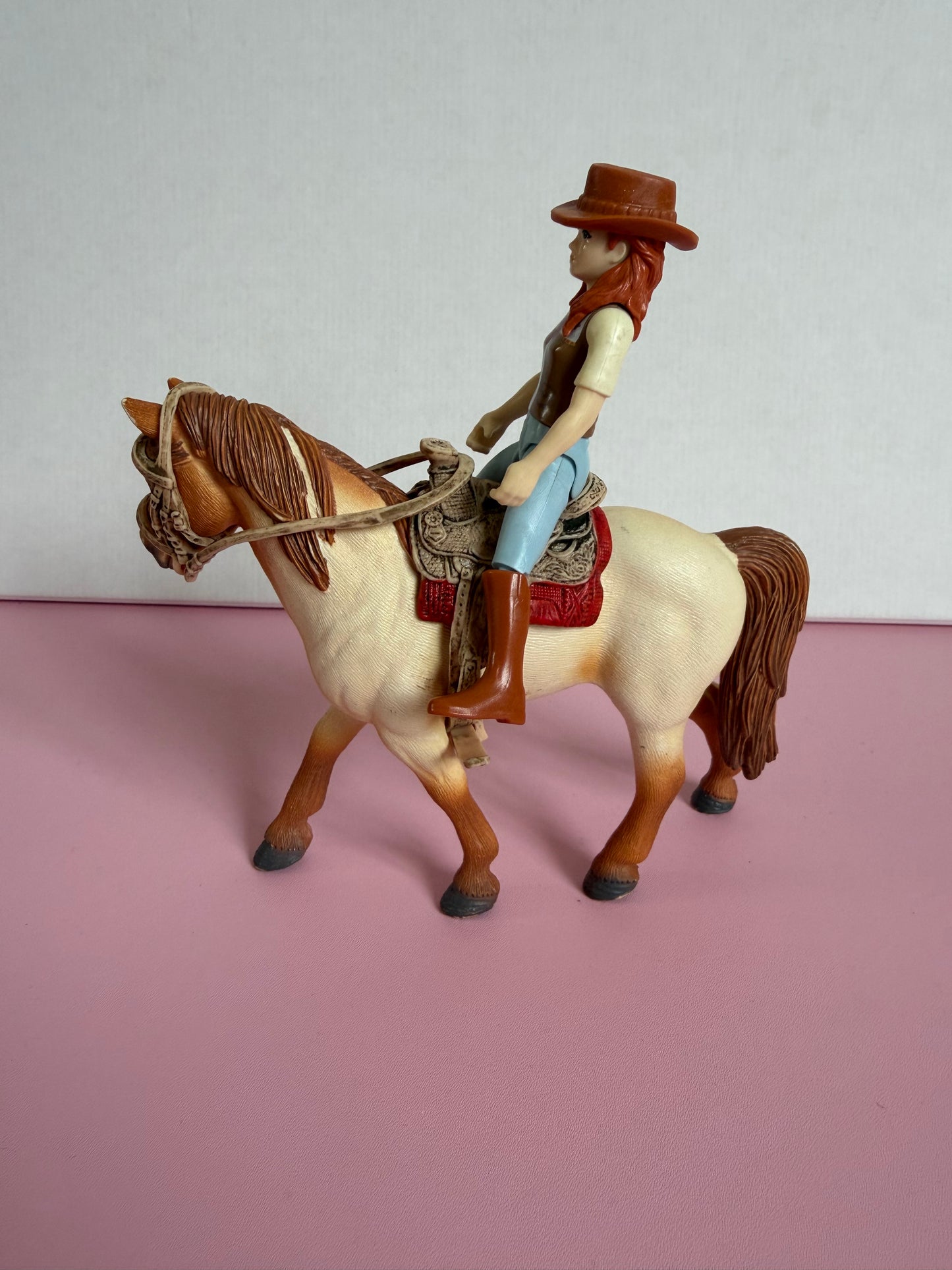 Re-Loved Rockstar: Tennessee Mare and Western Rider Hannah