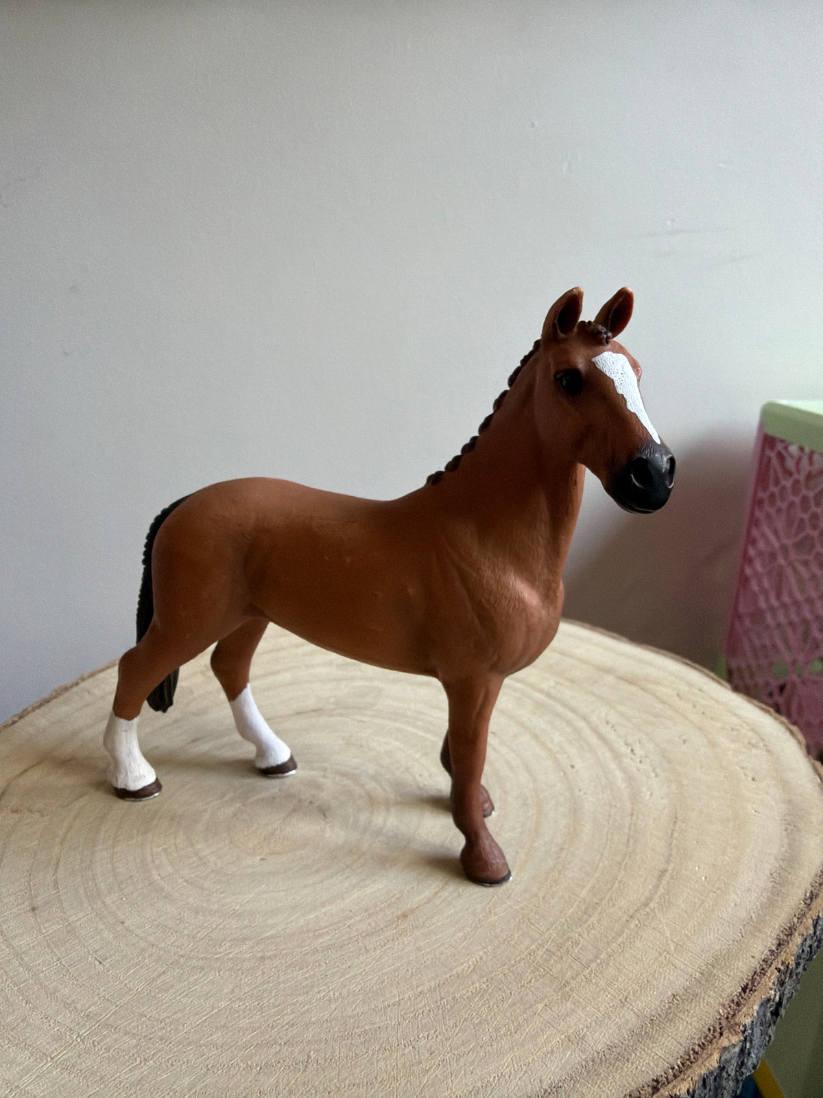 Re-Loved Rockstar: Hanoverian Gelding- Bruce