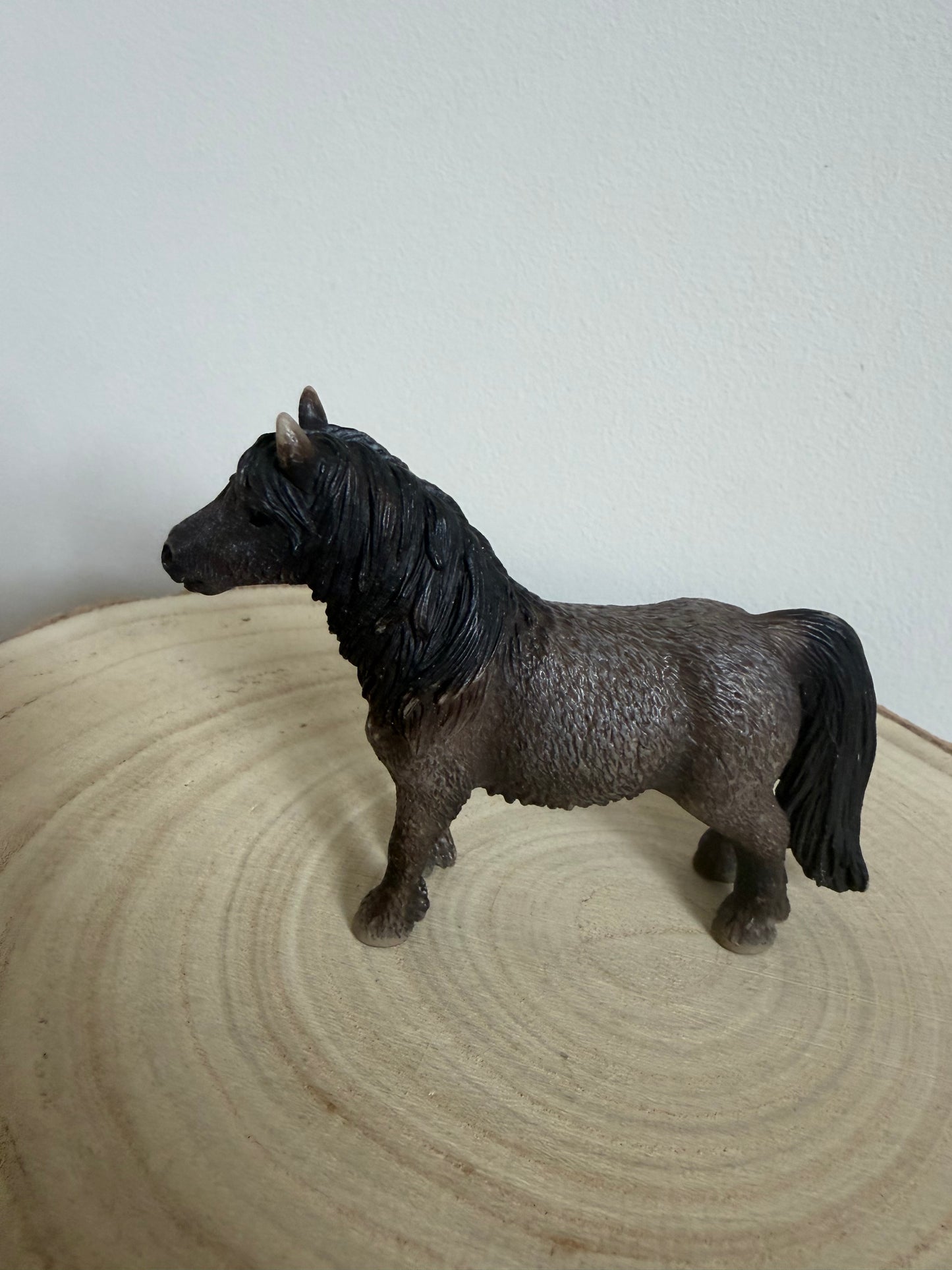 ✨Re-Loved Rockstar Shetland Pony Stallion- Roco