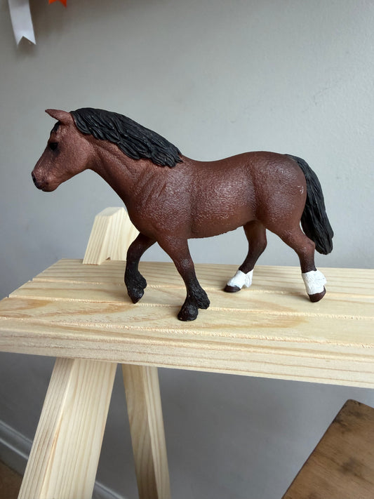 ✨Re-Loved Rockstar Welsh Mare – Coco✨