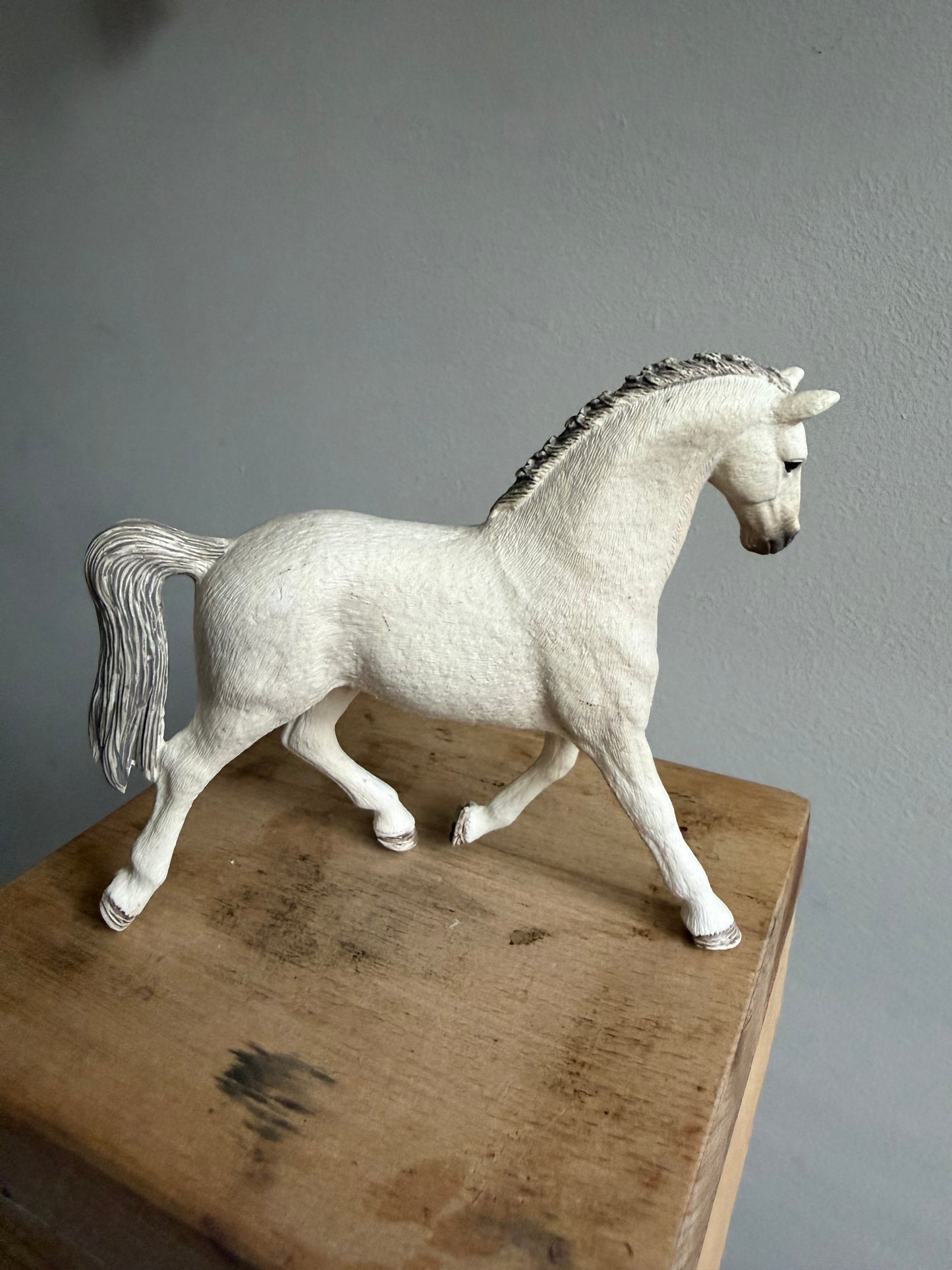 ✨Re-Loved Rockstar – Holsteiner Mare & Rider✨