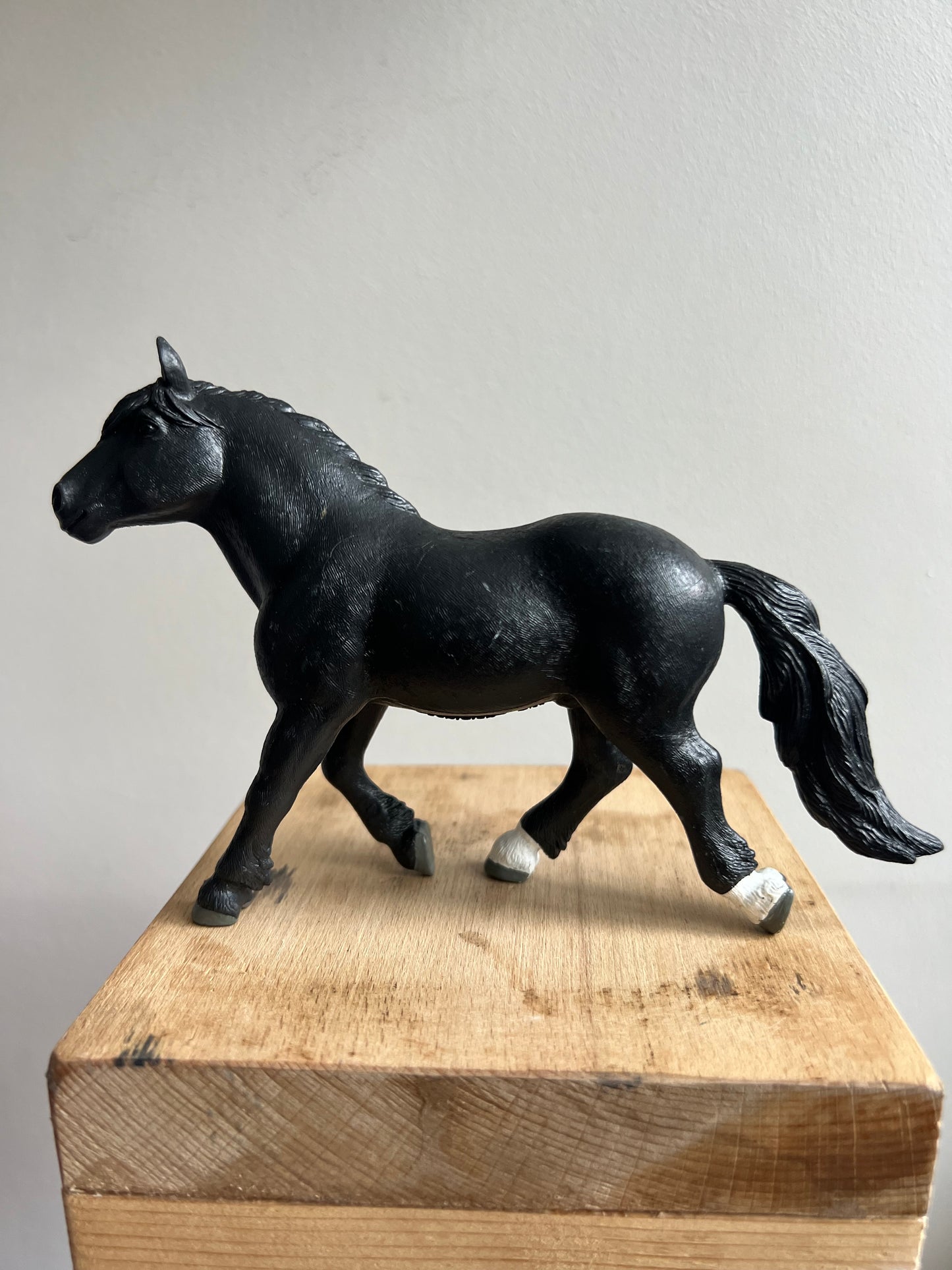 ✨Re-Loved Rockstar  – Noriker Stallion ✨Bobby