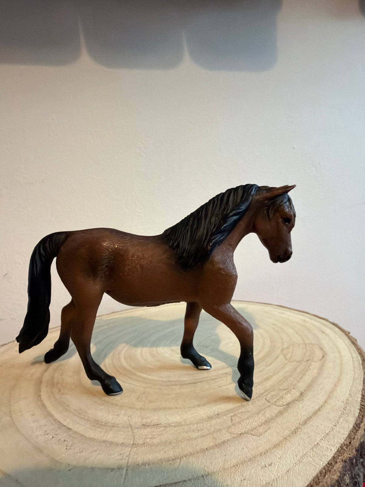 ✨Re-Loved Rockstar – Mojo Morgan Stallion- Max✨