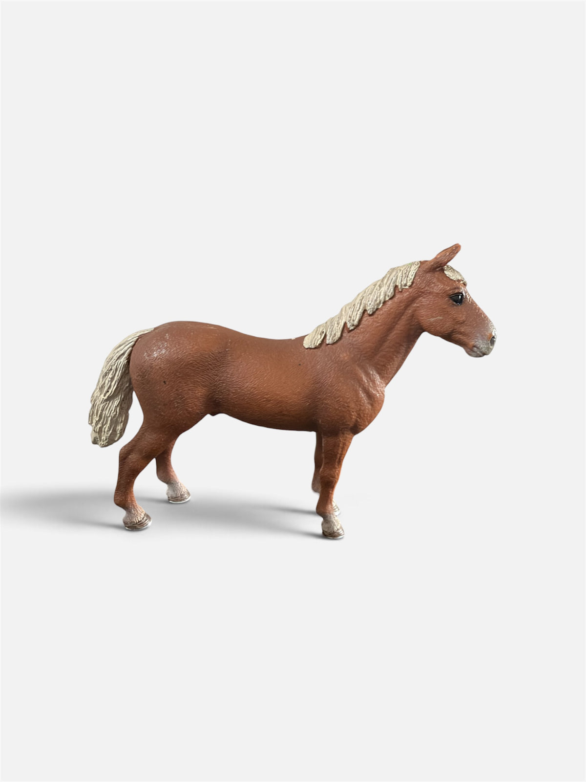 Re-Loved Rockstar: Morgan Stallion (Copy)