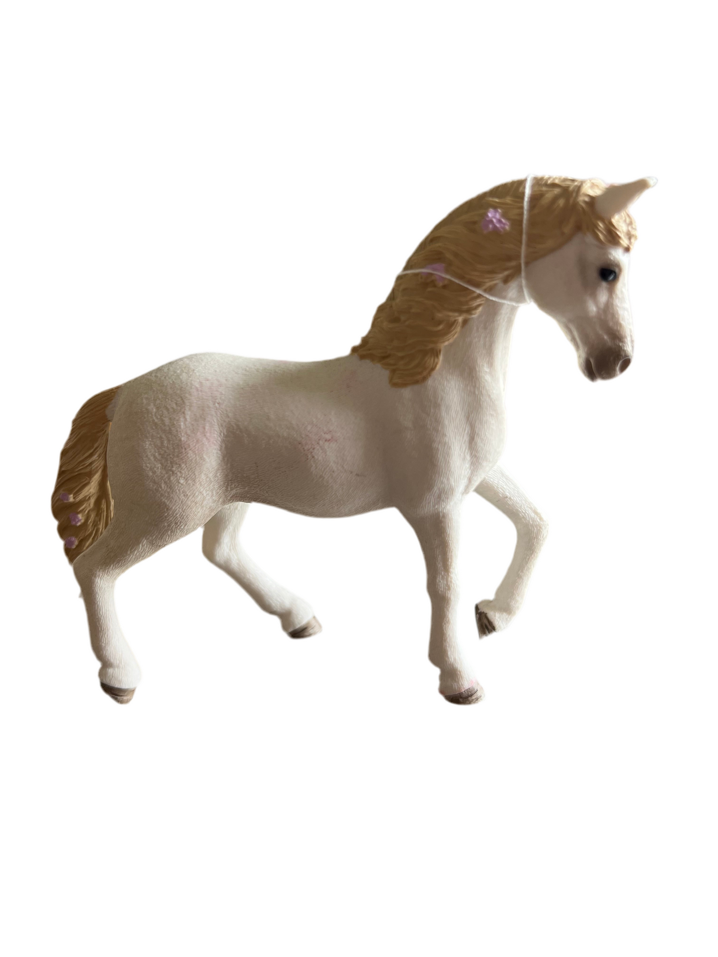 ✨ Re-Loved Rockstar Andalusian Mare – Crystal ✨
