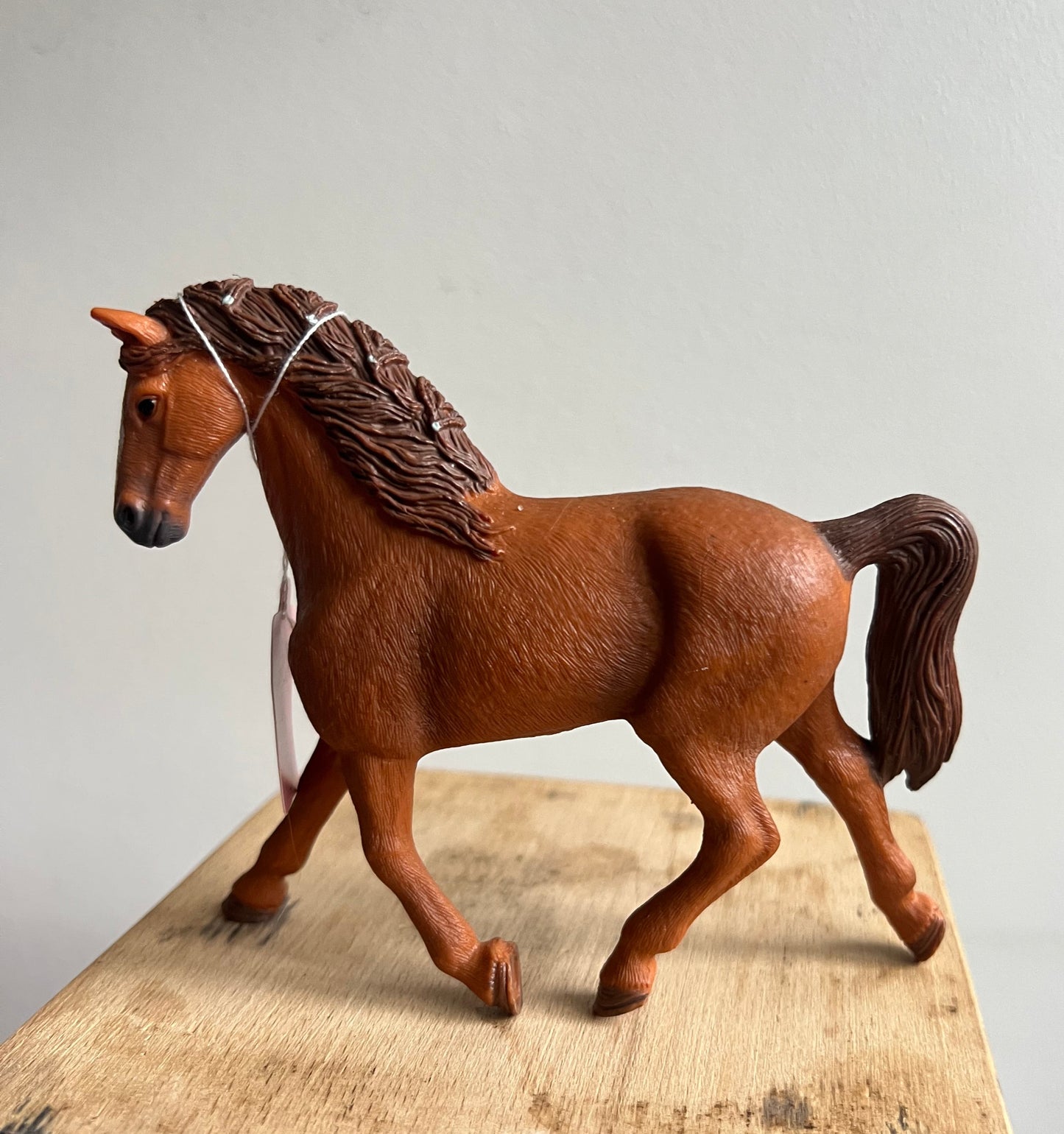 ✨Re-Loved Rockstar  – Mr Kramer’s Driving Horse -Mare✨Flame