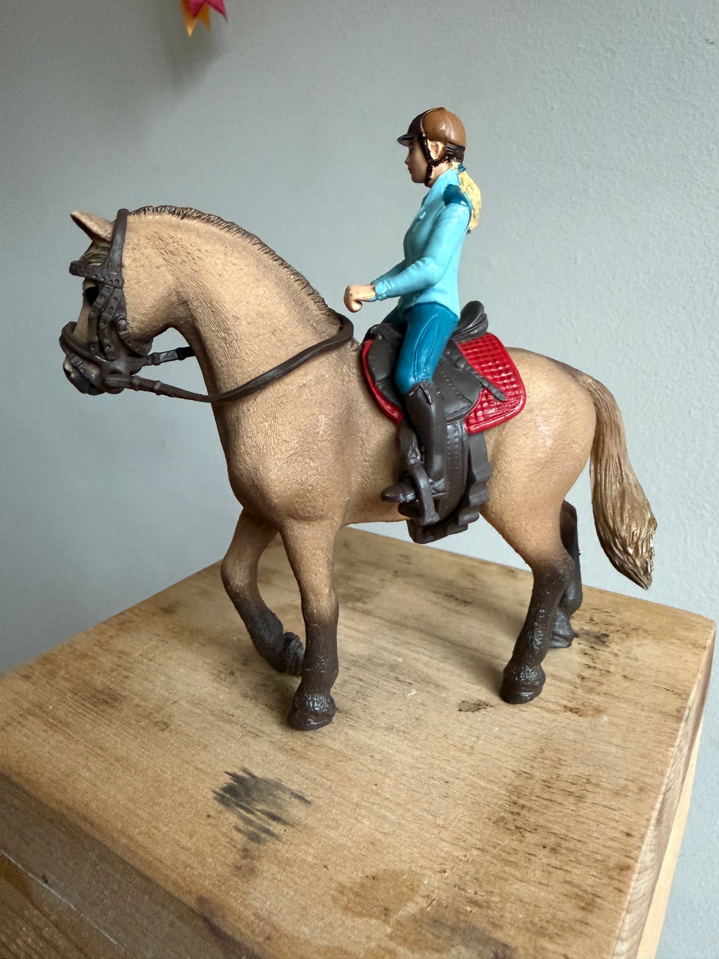 Re-Loved Rockstar - Quarter Horse Mare, Saddle, Bridle & Rider - Misty