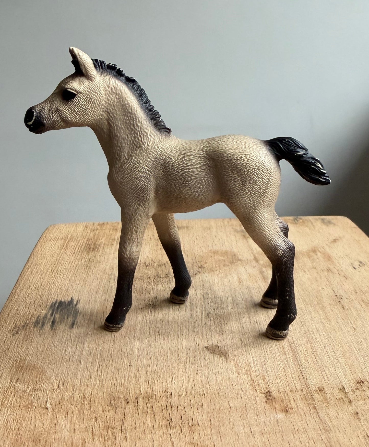 ✨ Re-Loved Rockstar Arabian Foal –✨