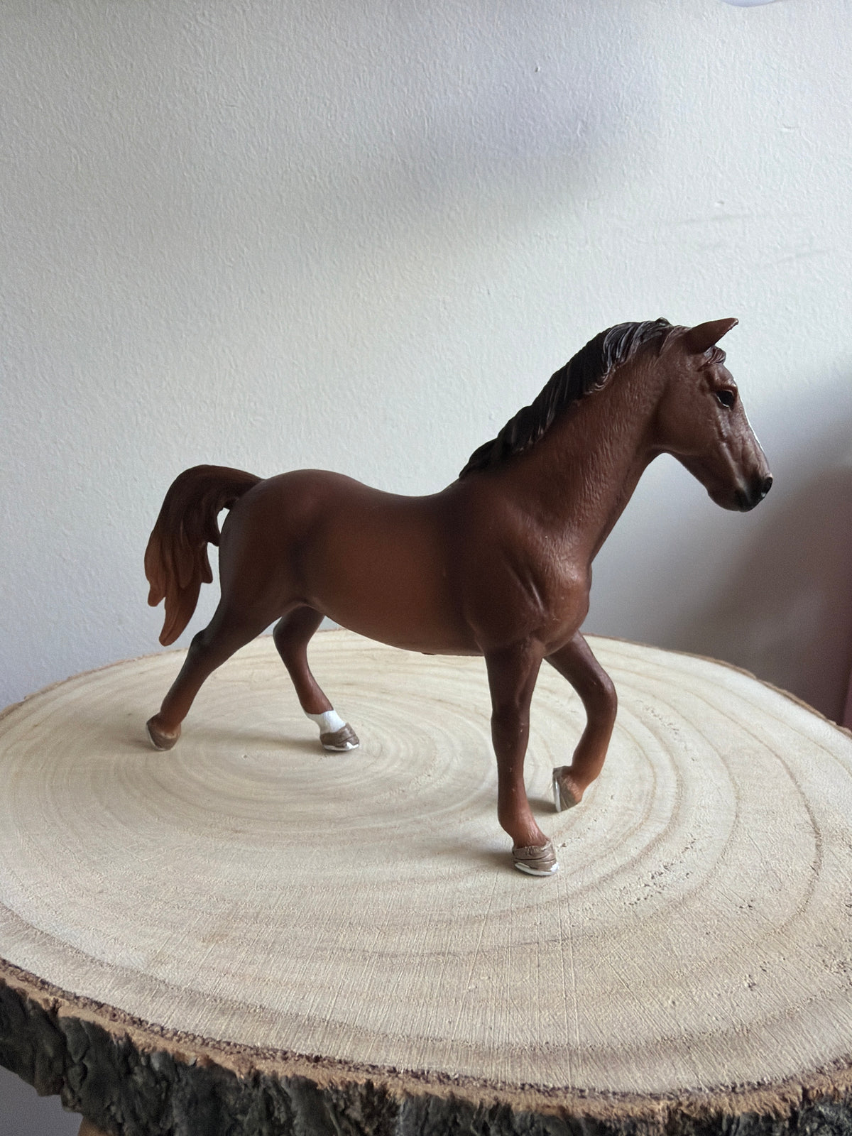 Re-Loved Rockstar: Trakehner Stallion- Ares