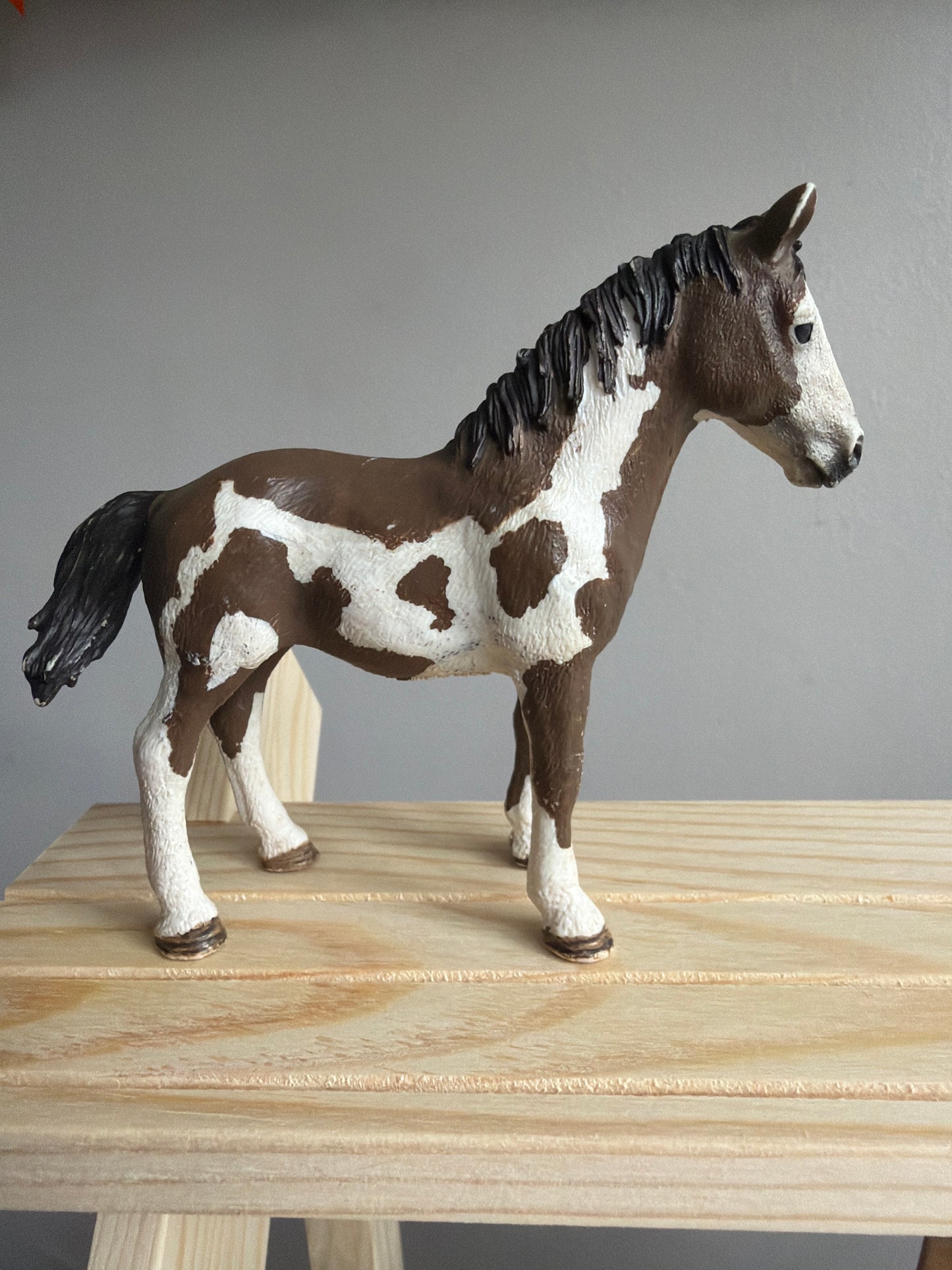 ✨Re-Loved Rockstar Pinto Yearling – Ace✨