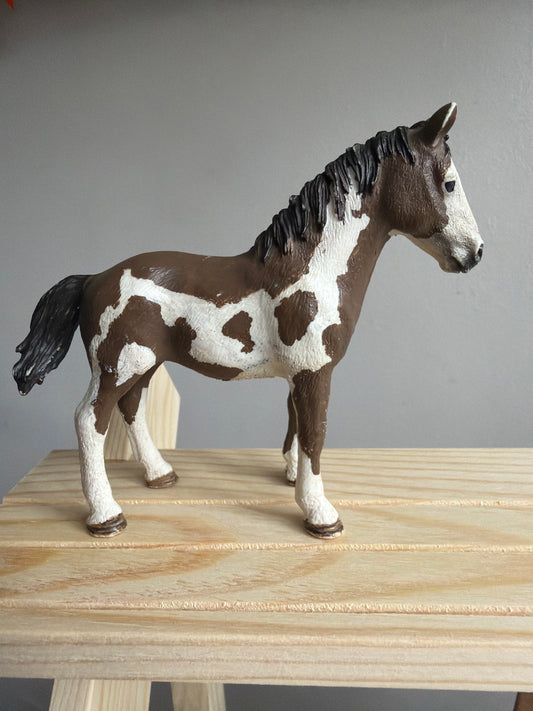 ✨Re-Loved Rockstar Pinto Yearling – Ace✨