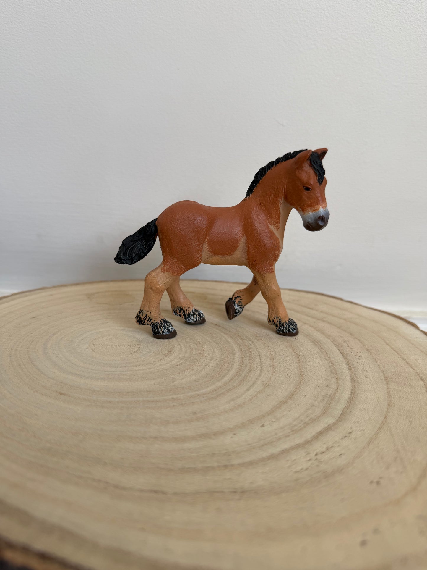 Re-Loved Rockstar: Ardennes Foal PAPO