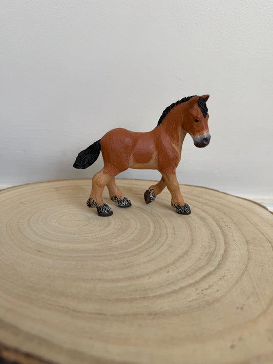 Re-Loved Rockstar: Ardennes Foal PAPO