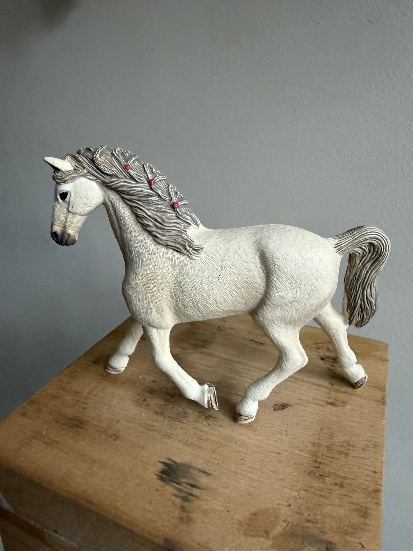 ✨Re-Loved Rockstar – Holsteiner Mare & Rider✨