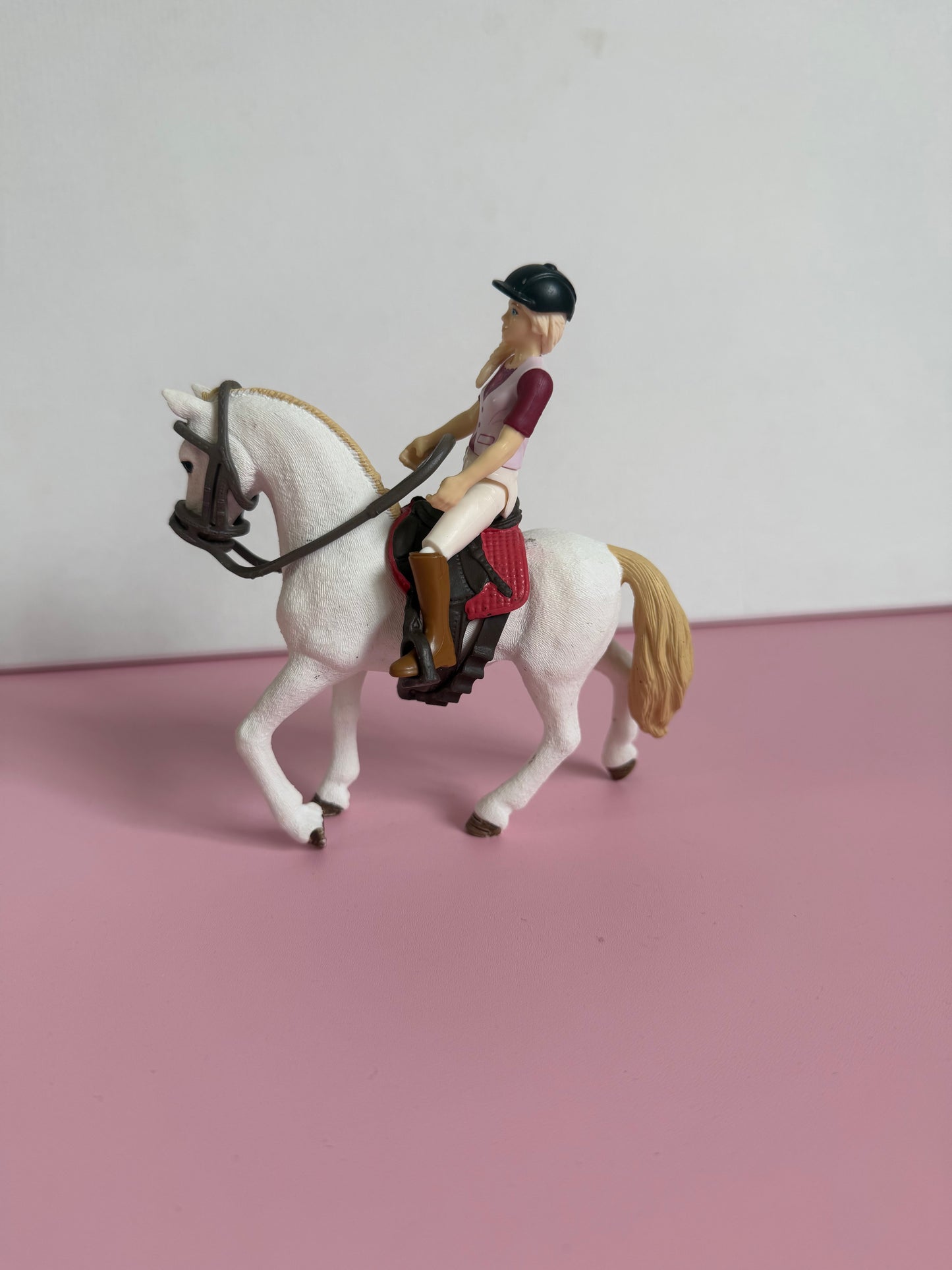 Re-Loved Rockstar: Andalusian mare Blossom and Rider Sofia