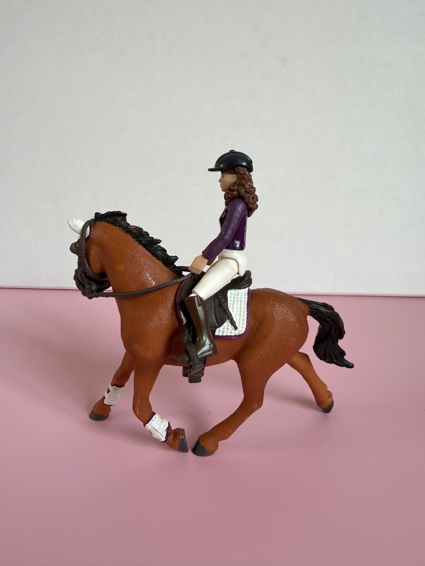 Re-Loved Rockstar: Trakehner mare Storm and Rider Lisa-