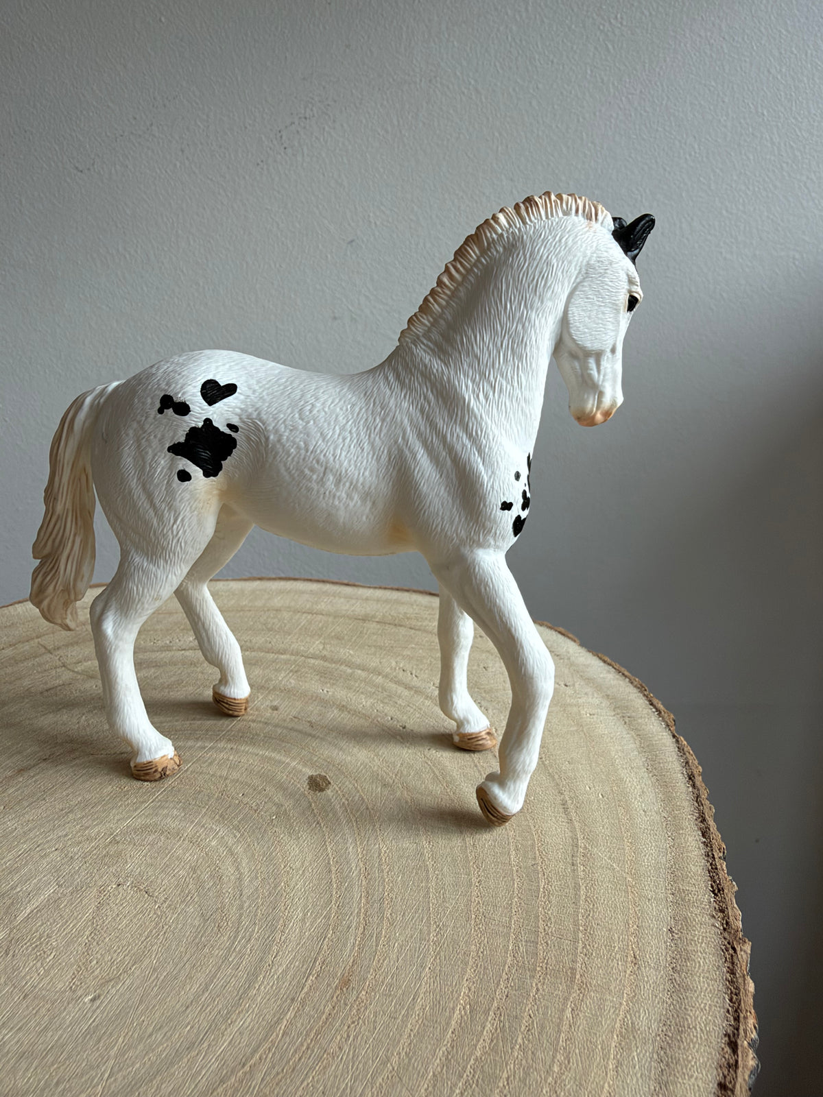 Re-Loved Rockstar: Marwari Stallion -Arjun