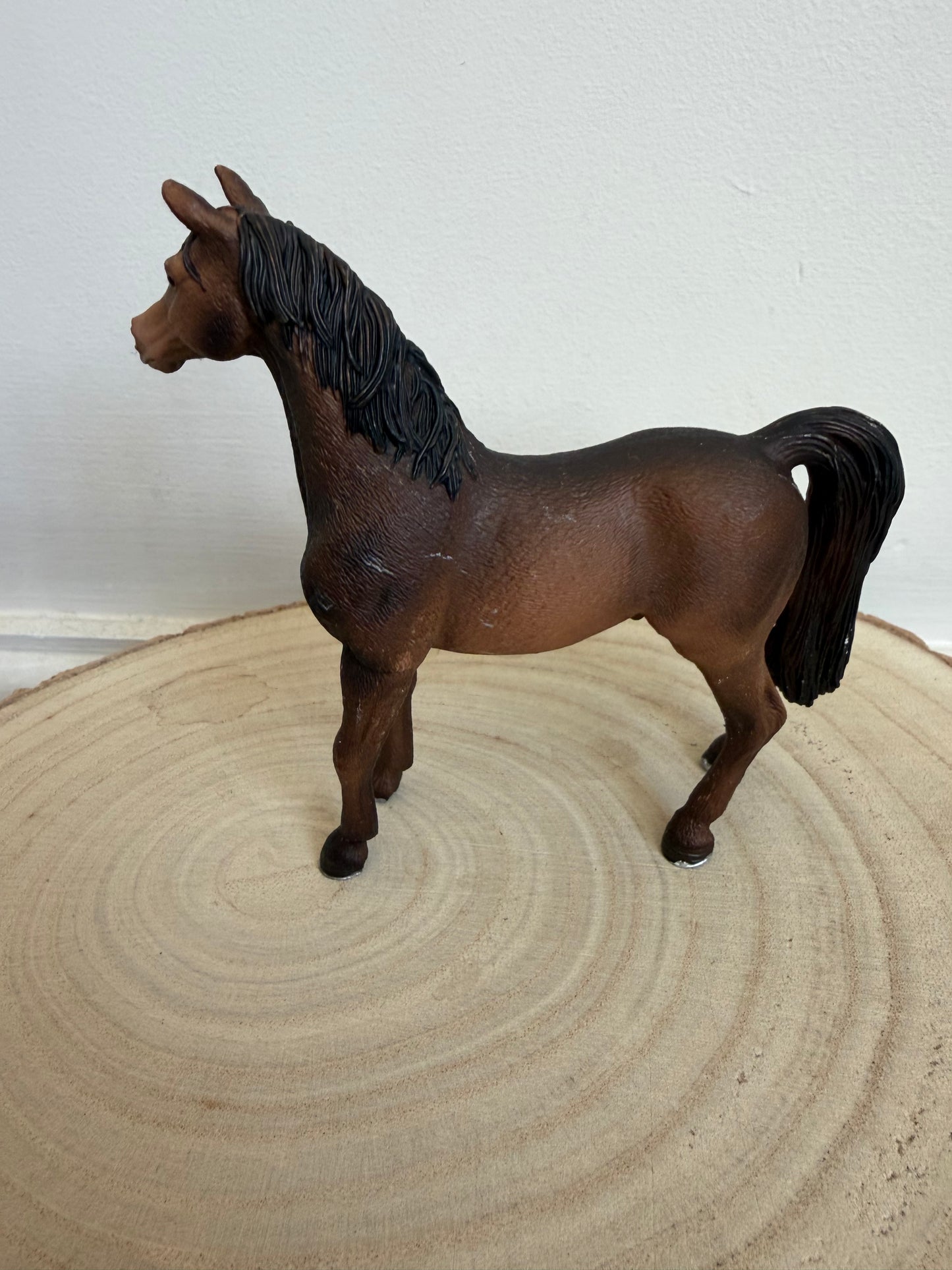 ✨Re-Loved Rockstar Arabian Stallion – 2007
