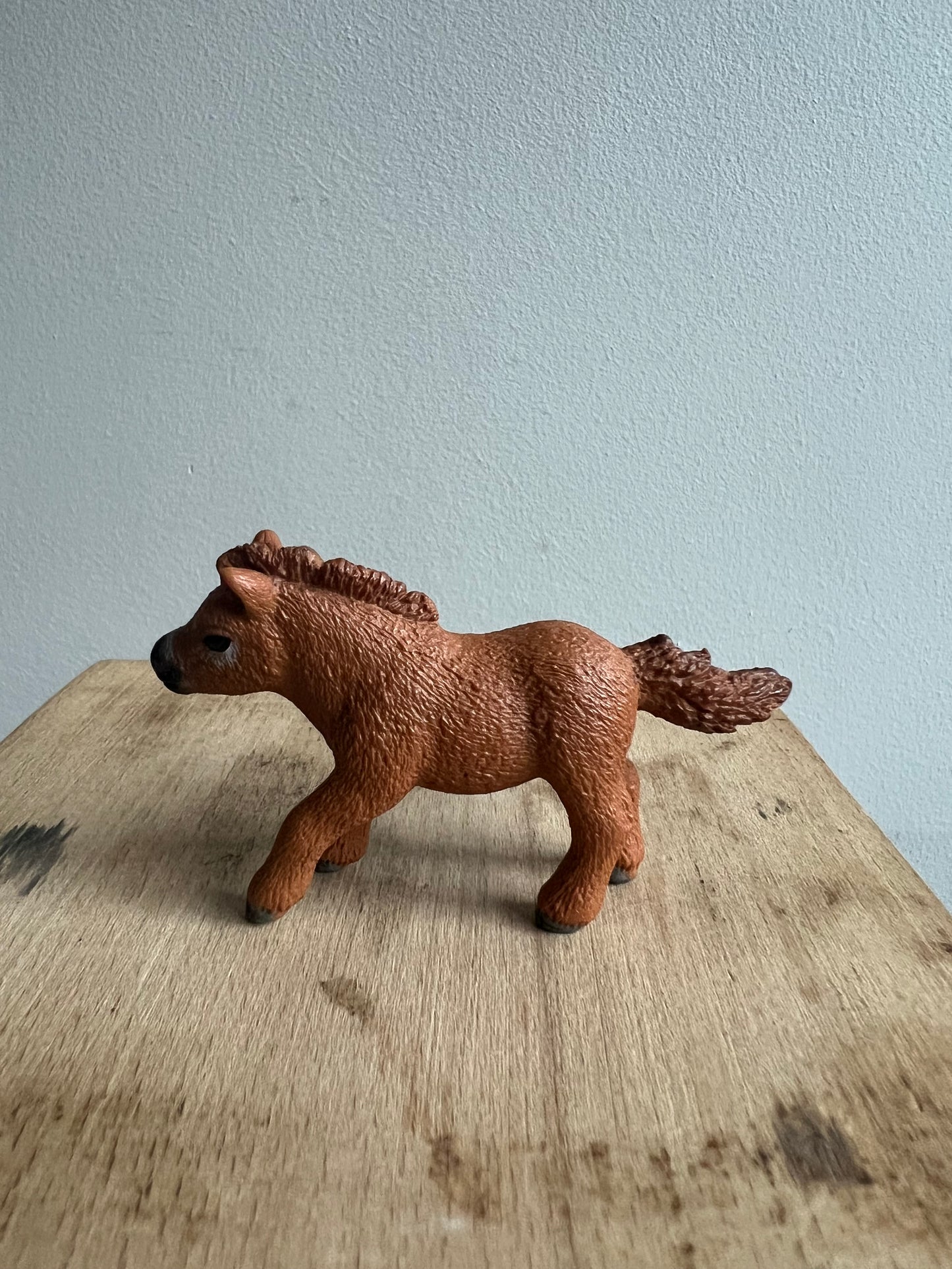 ✨Re-Loved Rockstar Mini- Shetland Pony Foal  ✨Pixie