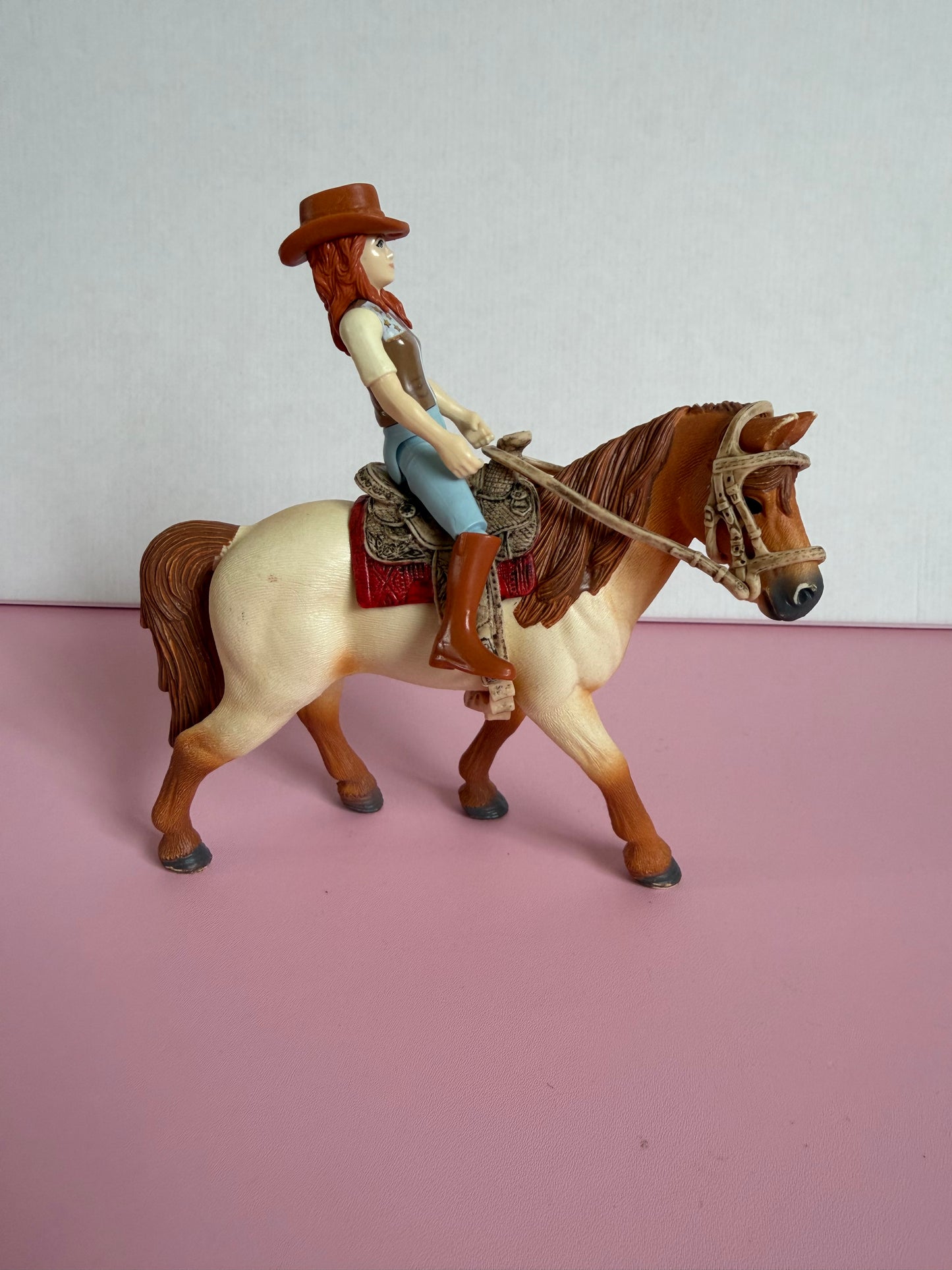 Re-Loved Rockstar: Tennessee Mare and Western Rider Hannah