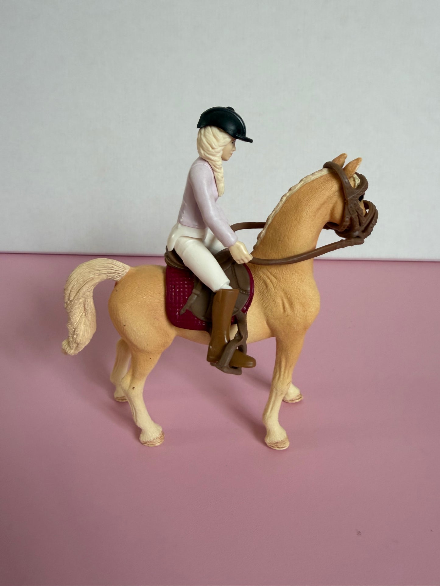 Re-Loved Rockstar: Arab mare Mystery and Rider Sofia