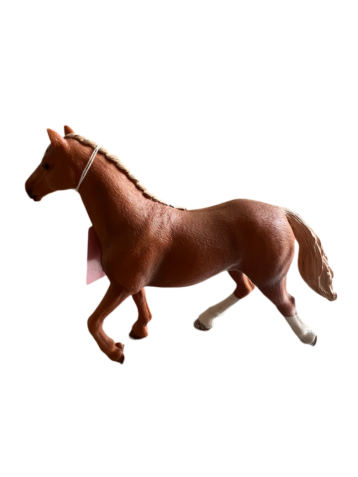 ✨ Re-Loved Rockstar Thoroughbred – Saffron ✨