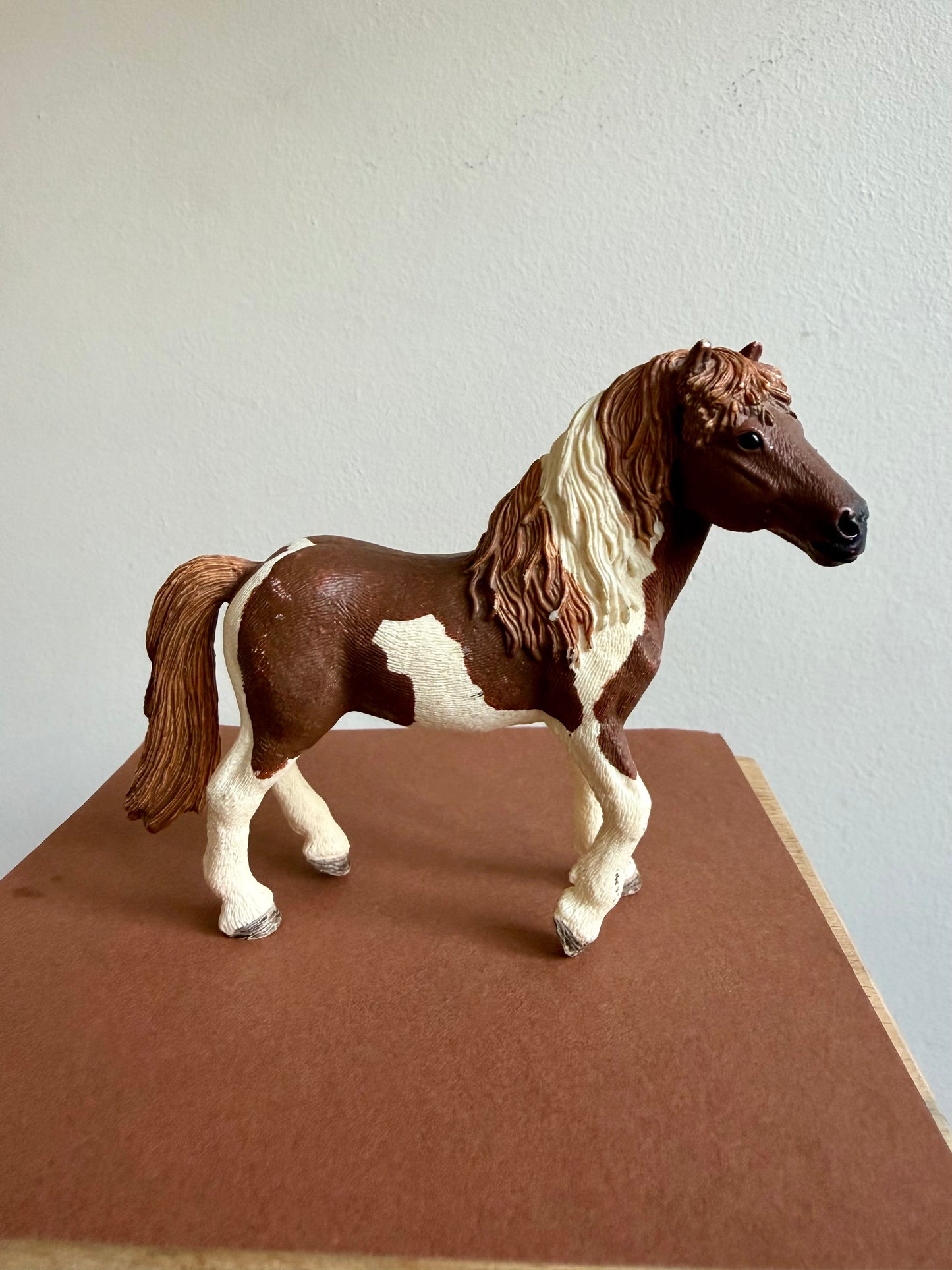 ✨Re-Loved Rockstar Icelandic Pony Stallion– Angus