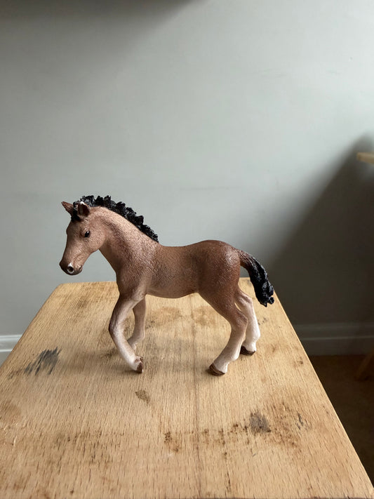 ✨ Re-Loved Rockstar Andalusian Foal –✨