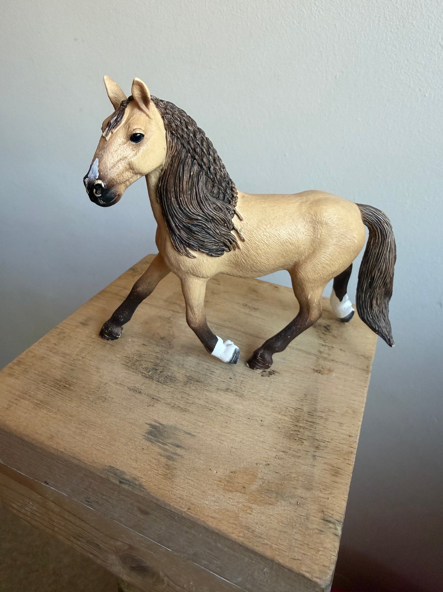 ✨Re-Loved Rockstar – Lusitano Stallion- Orlando✨